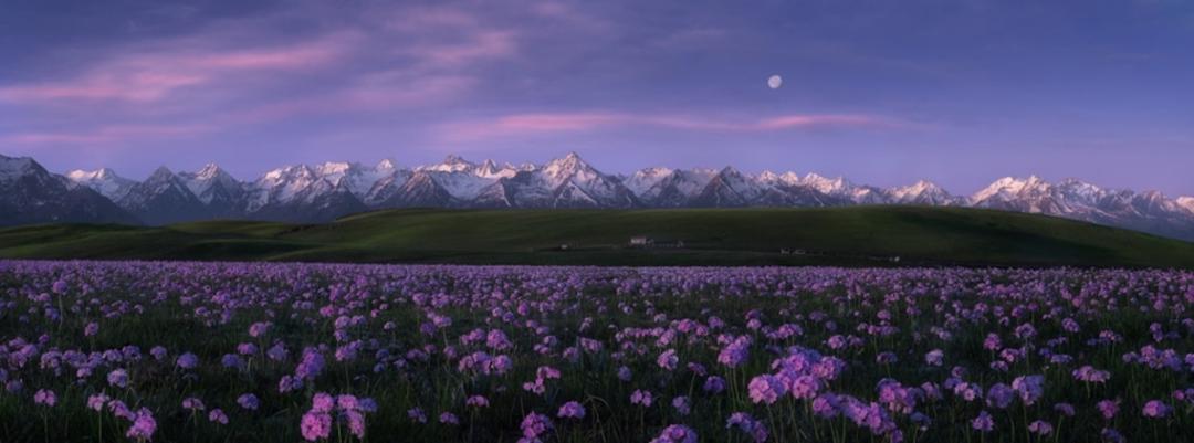 مسابقه بین‌المللی پانو اپسون ۲۰۲۲