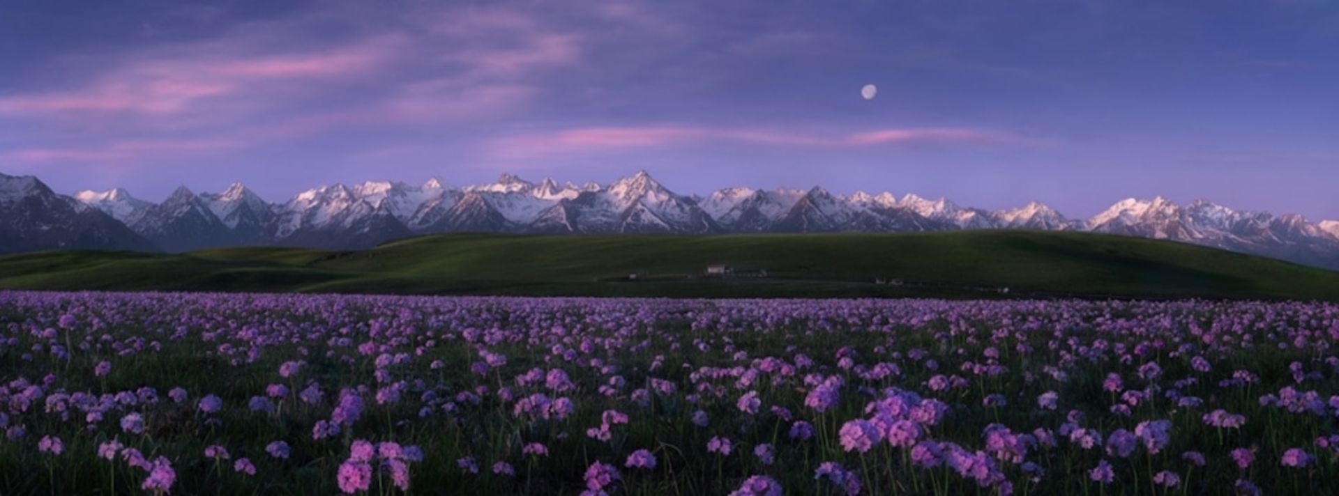 مسابقه بین‌المللی پانو اپسون ۲۰۲۲