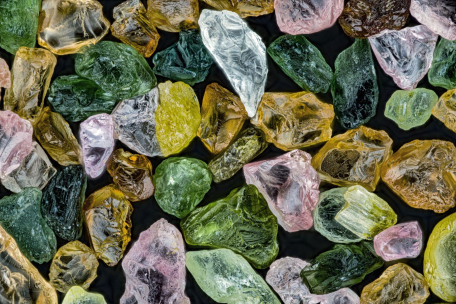 برندگان مسابقه نیکون Small World سال 2022