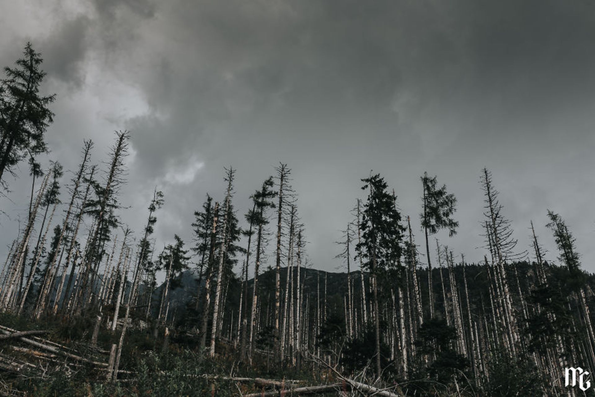 تصاویر خیره‌کننده از رشته‌کوه‌ تاتراس در اسلواکی 