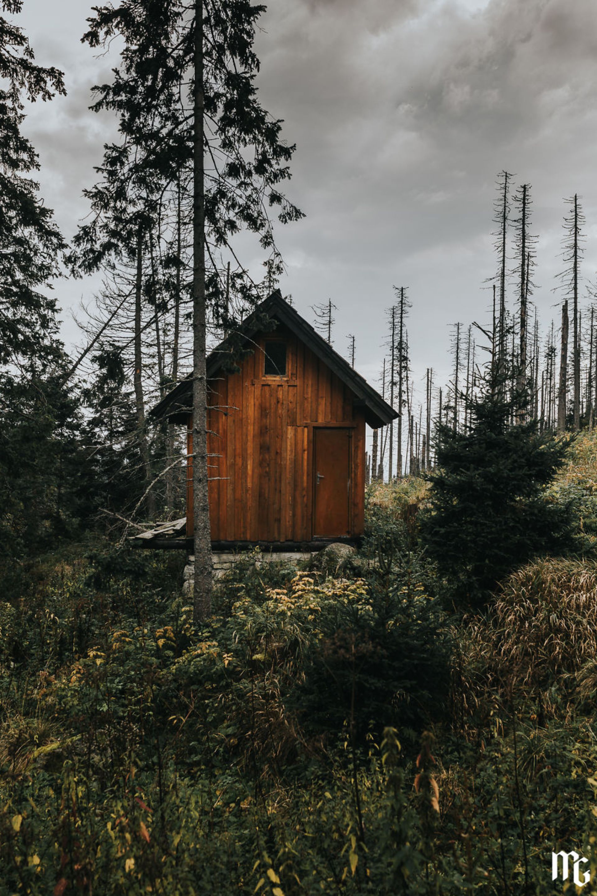 تصاویر خیره‌کننده از رشته‌کوه‌ تاتراس در اسلواکی 