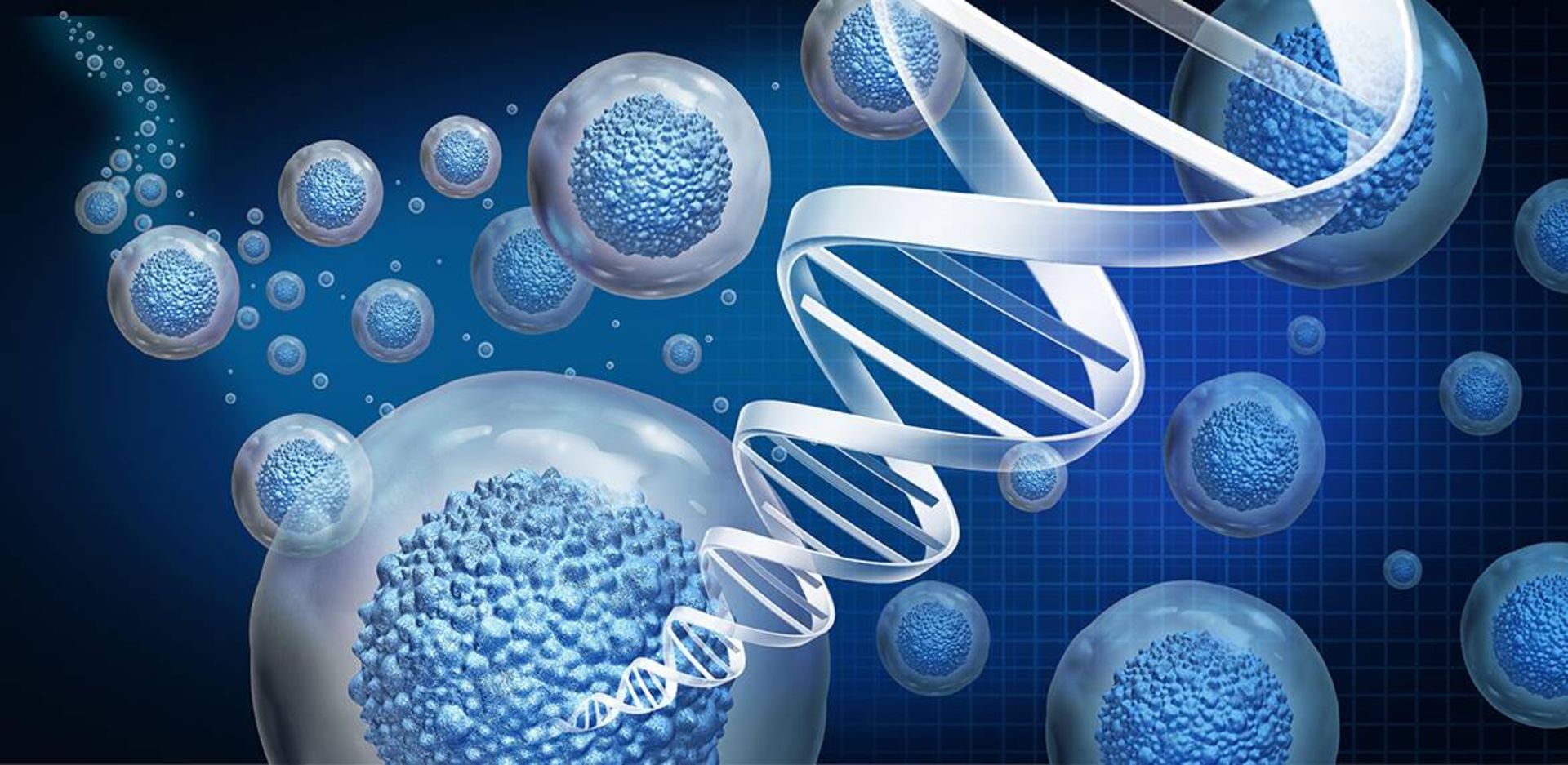 سلول / cells