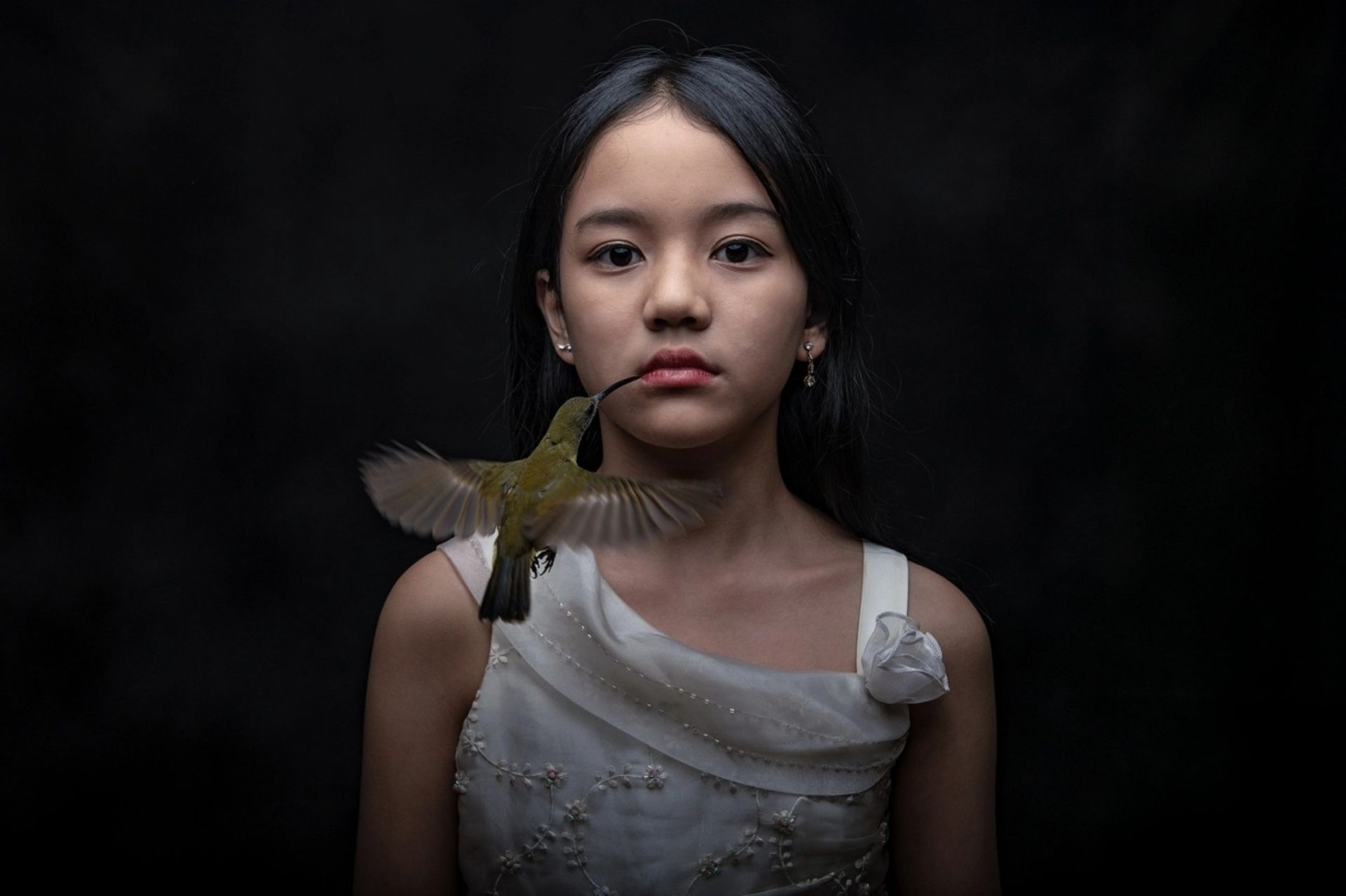 برندگان جوایز بین المللی عکس سیه‌نا 2022