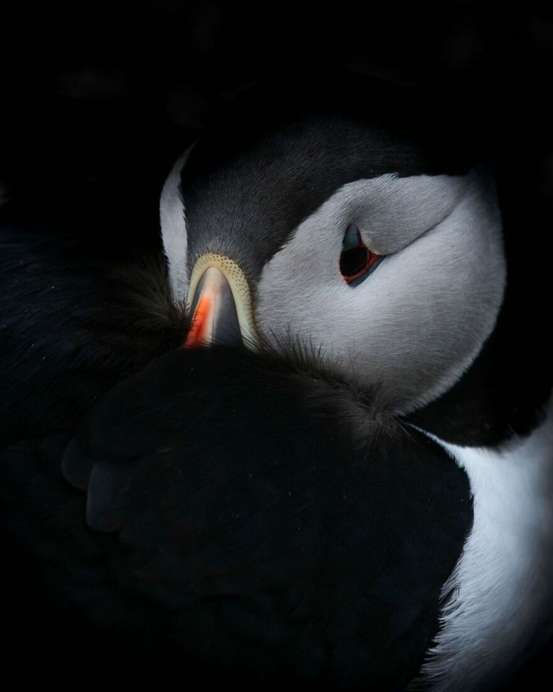 طبیعت فریبنده شمالی در ایسلند