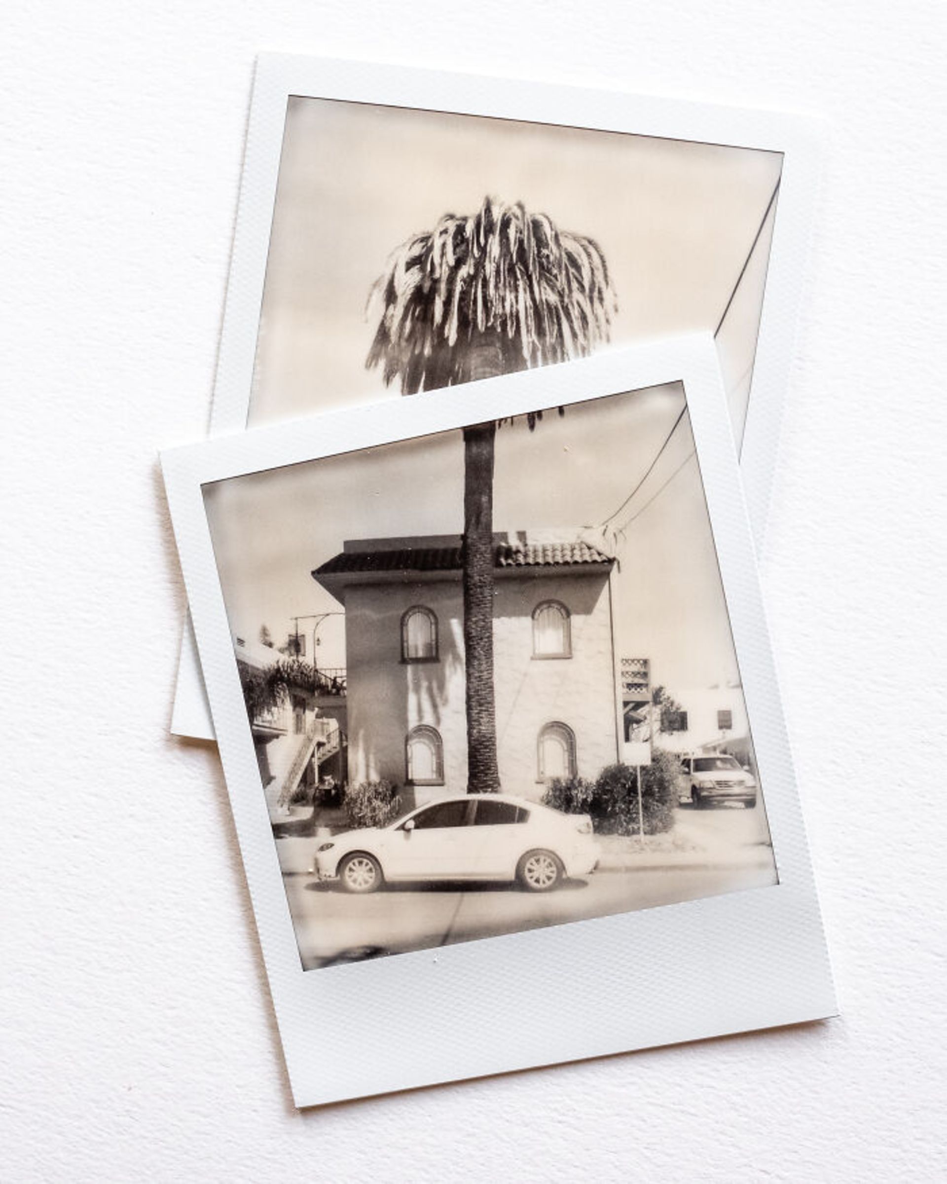 برندگان جوایز عکاسی مجله AAP سال ۲۰۲۲