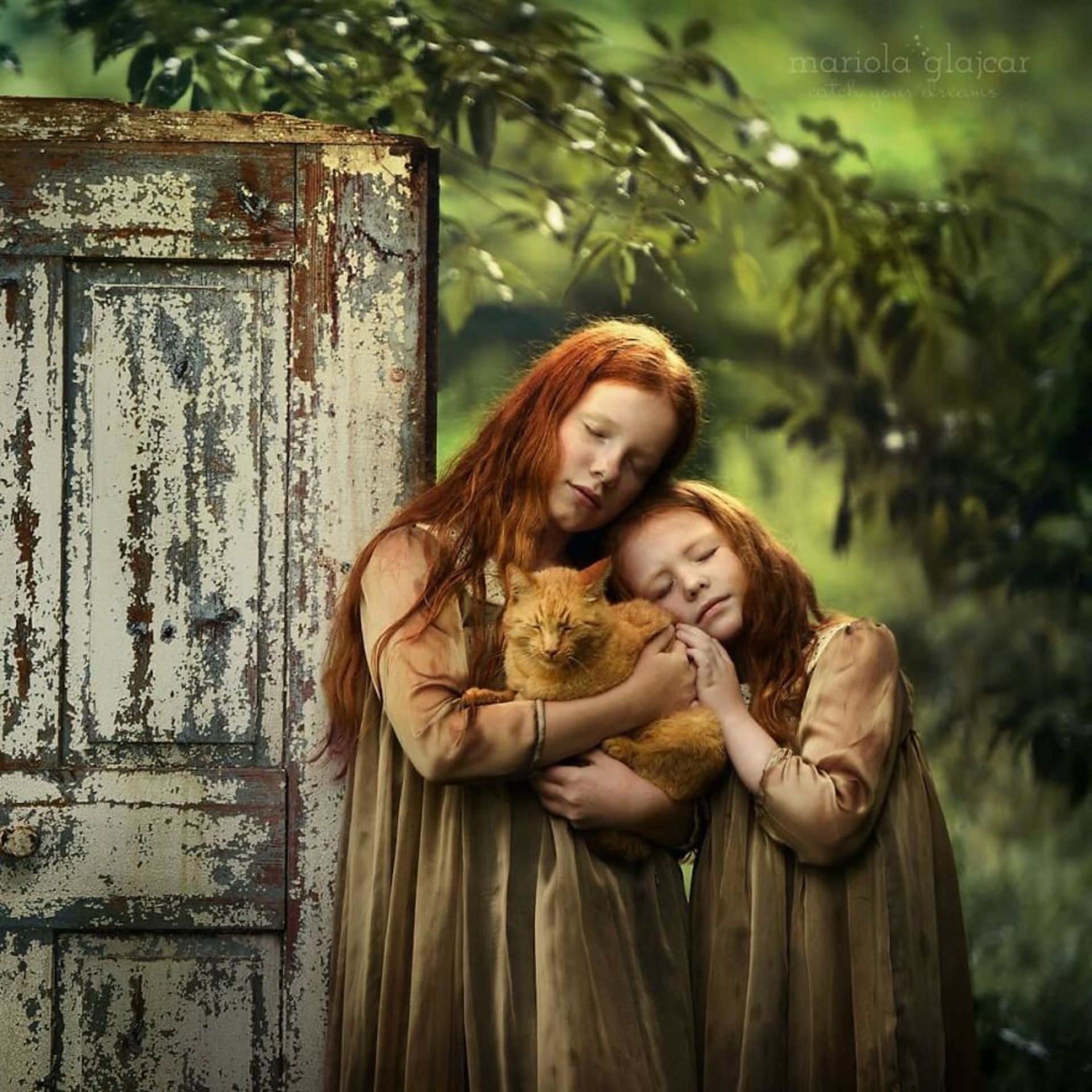 شباهت ظریف بین انسان‌ها و حیوان‌ها