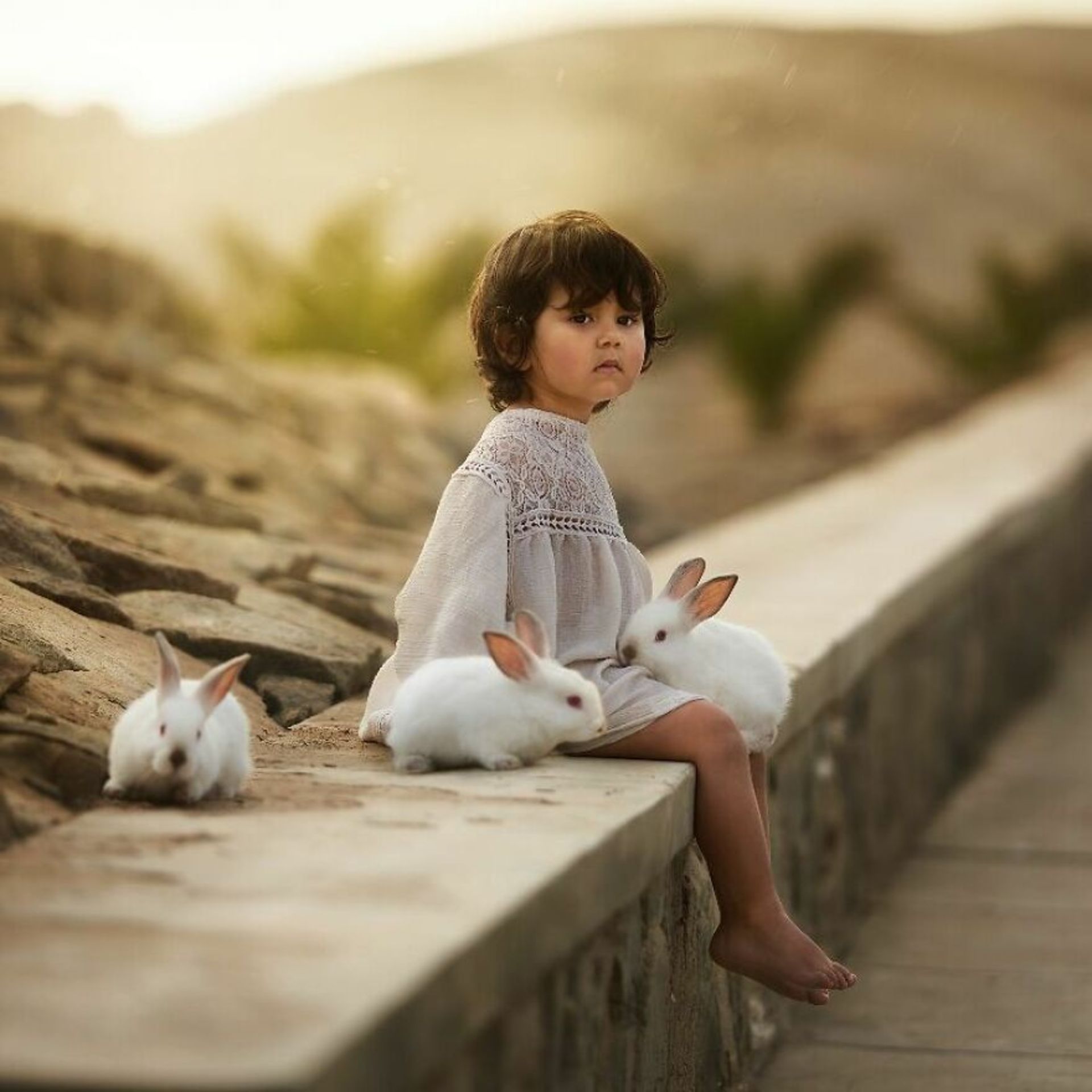 شباهت ظریف بین انسان‌ها و حیوان‌ها