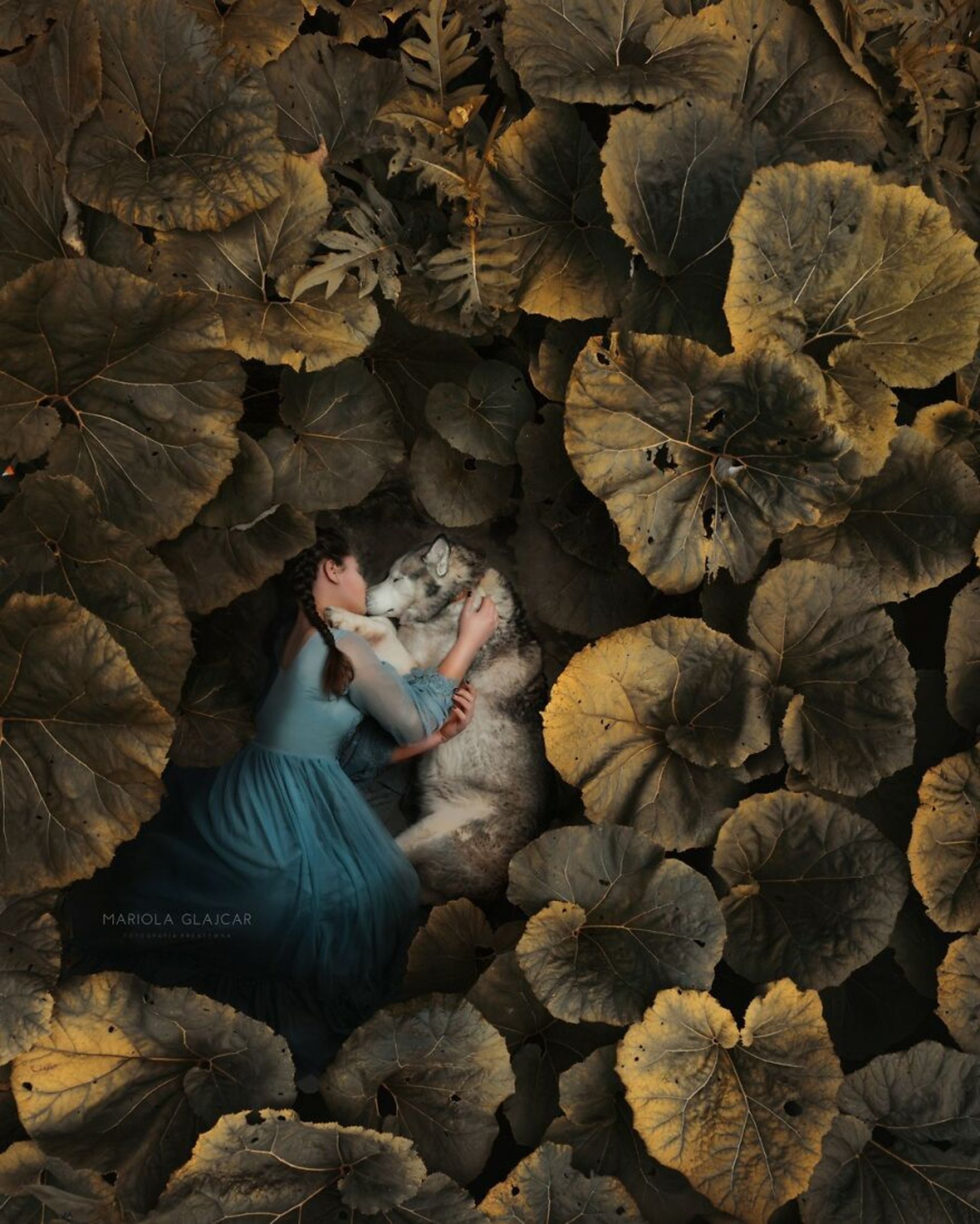 شباهت ظریف بین انسان‌ها و حیوان‌ها