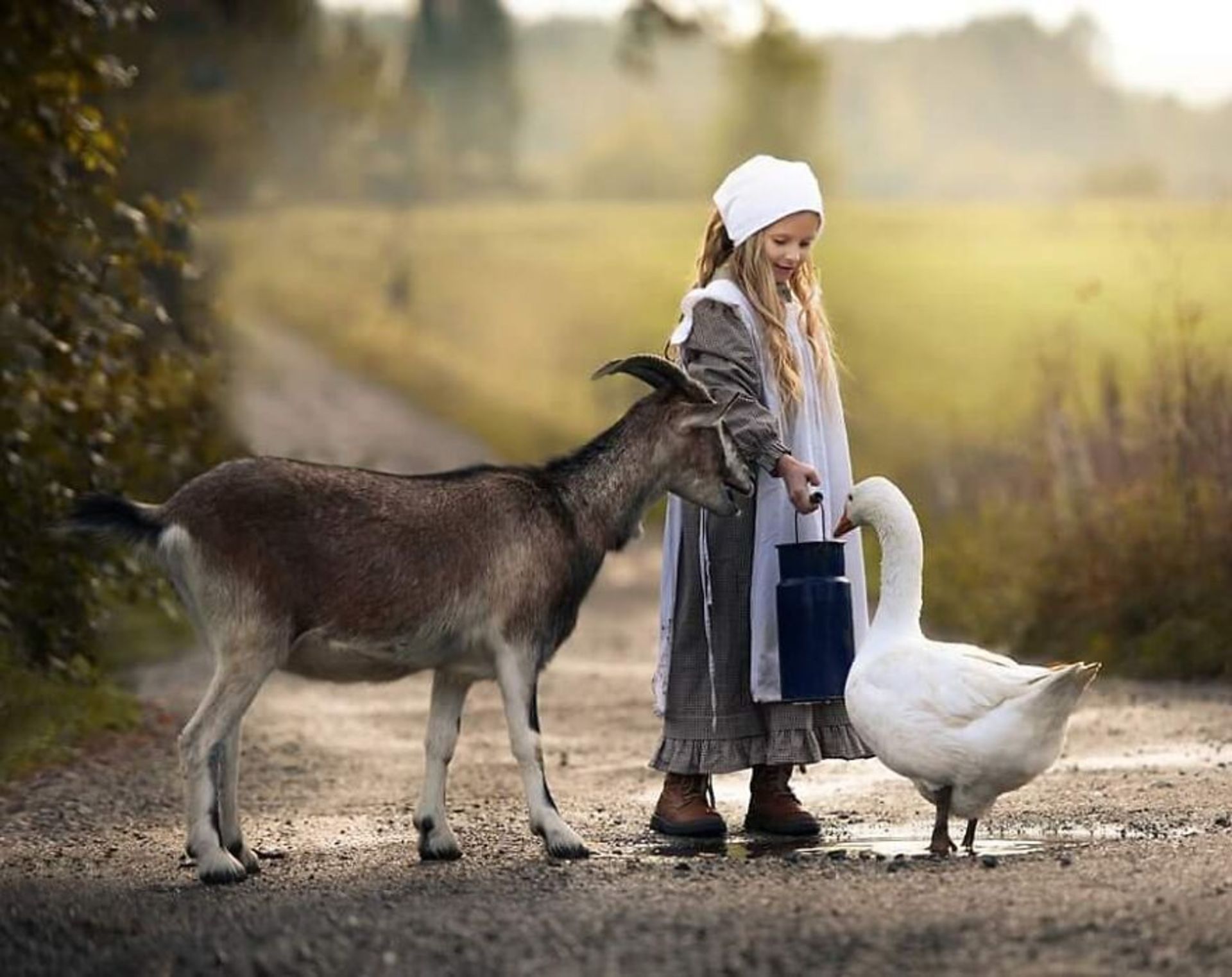 شباهت ظریف بین انسان‌ها و حیوان‌ها