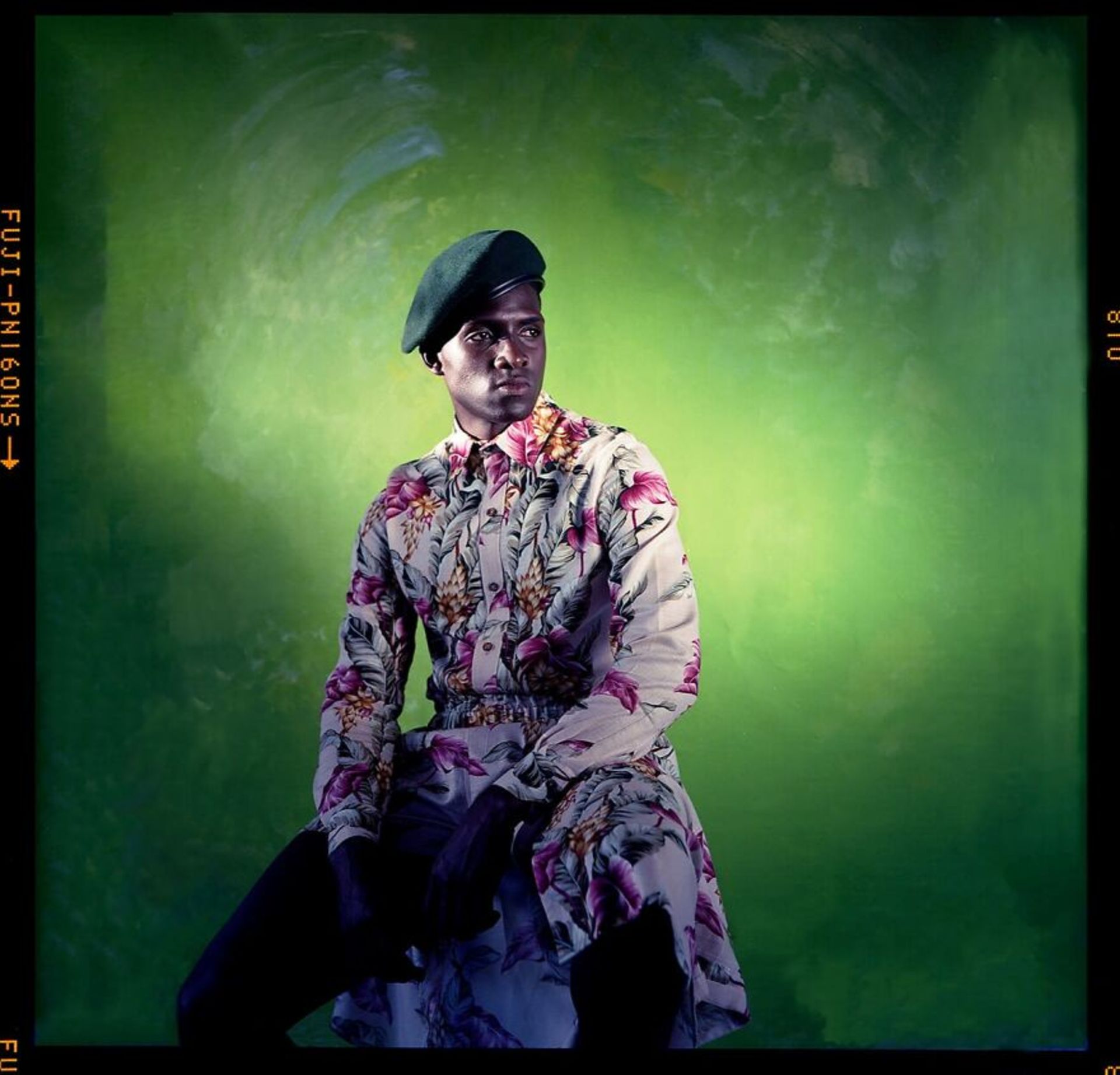 تصاویر برندگان «رقابت عکاسی رنگ‌ها» مجله AAP 