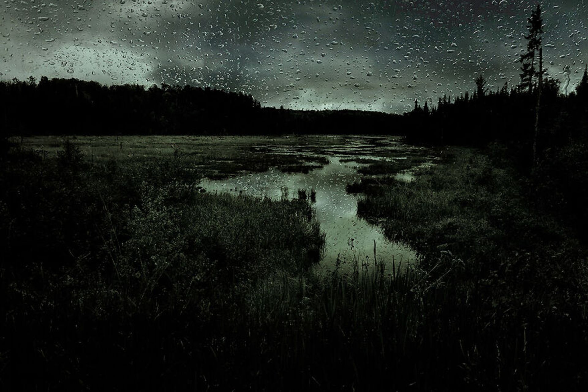 تصاویر برندگان «رقابت عکاسی رنگ‌ها» مجله AAP 