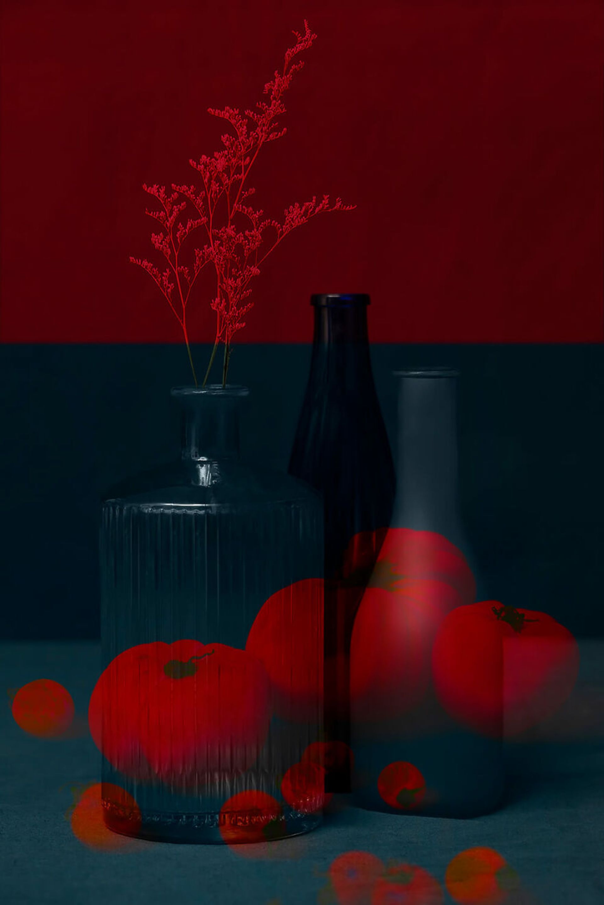 تصاویر برندگان «رقابت عکاسی رنگ‌ها» مجله AAP 