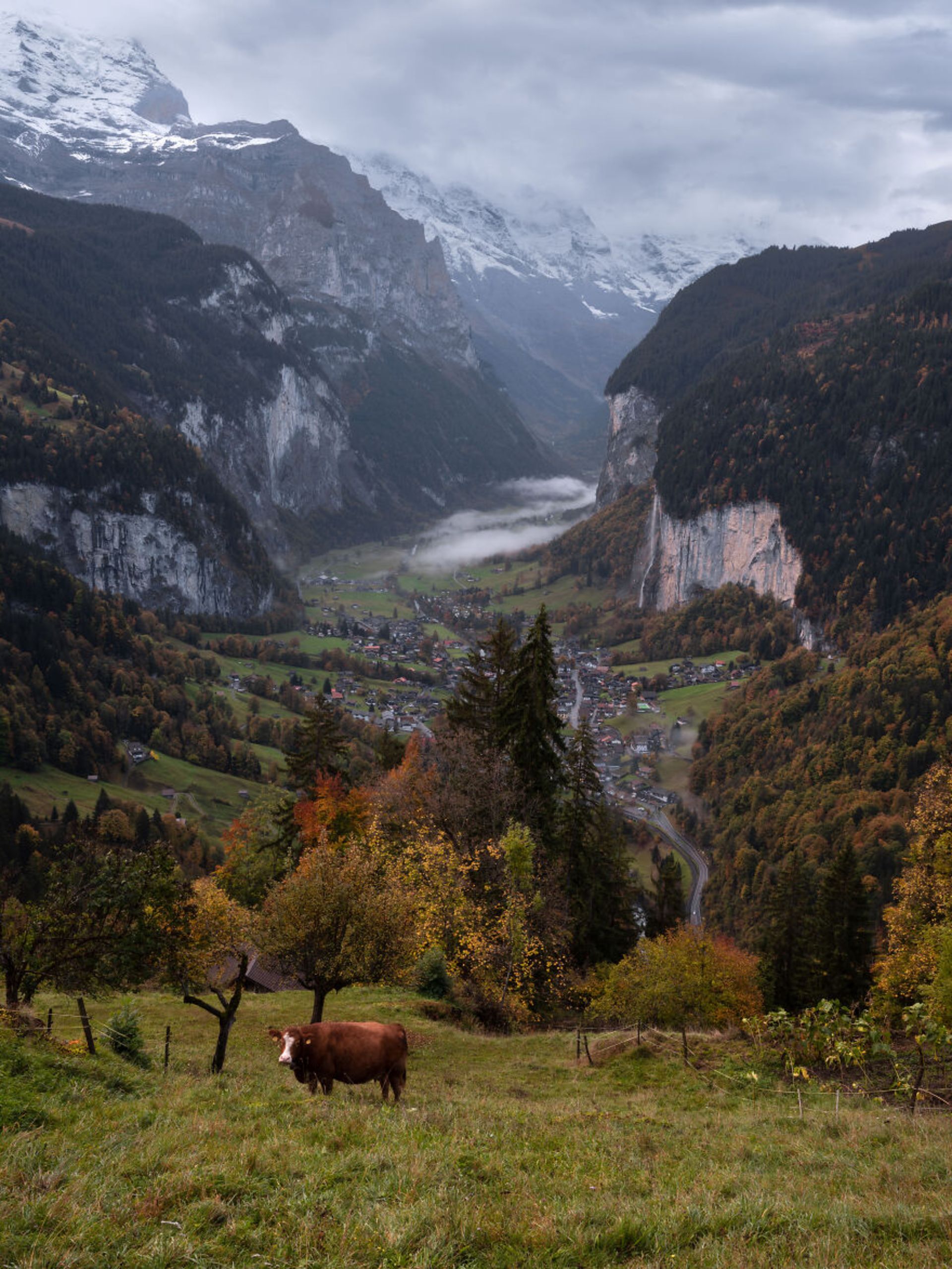 مناظر سوئیس در پاییز