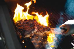 انسان چه زمانی برای نخستین بار موفق به پخت غذا با آتش شد؟