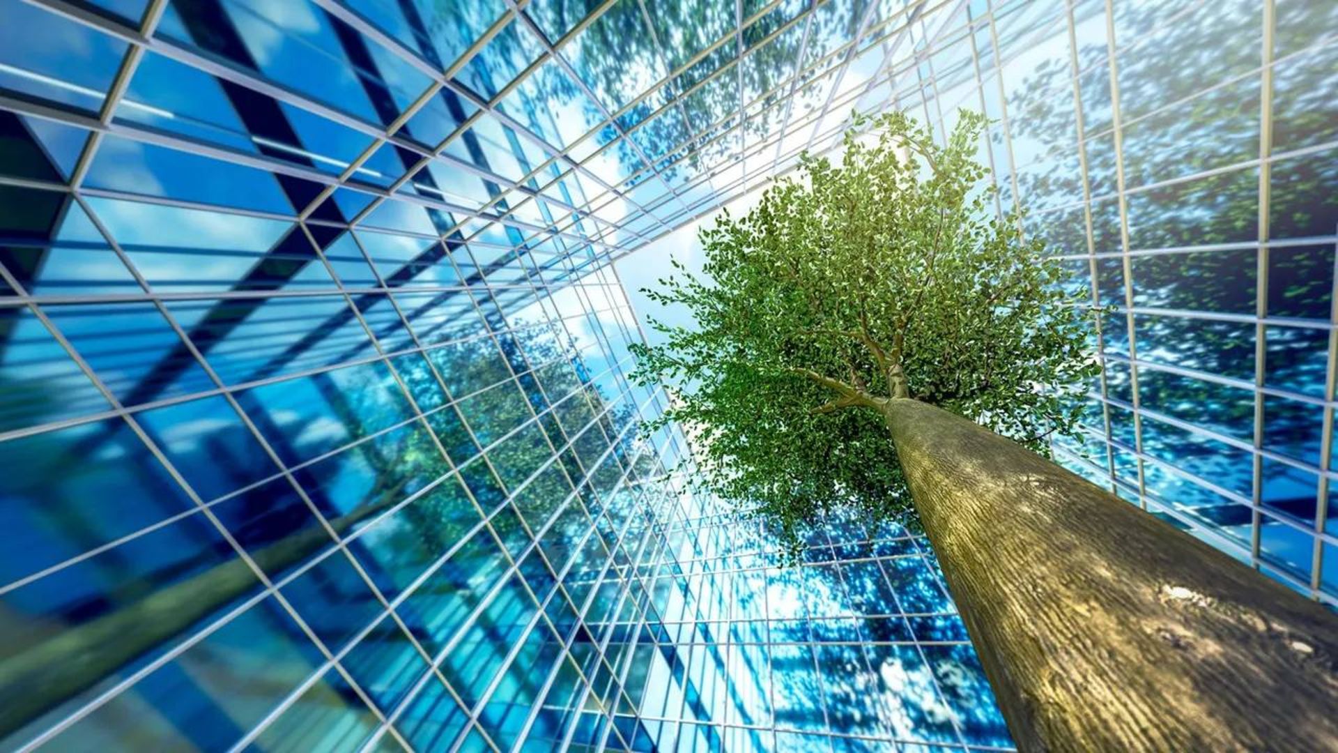 سکونتگاه های آینده / futuristic settlements 