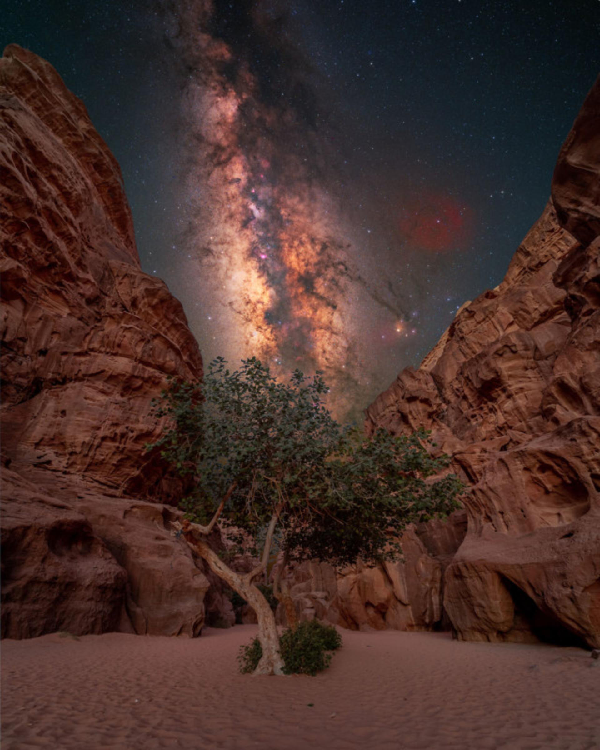 رآسمان زیبای شب بر فراز اردن