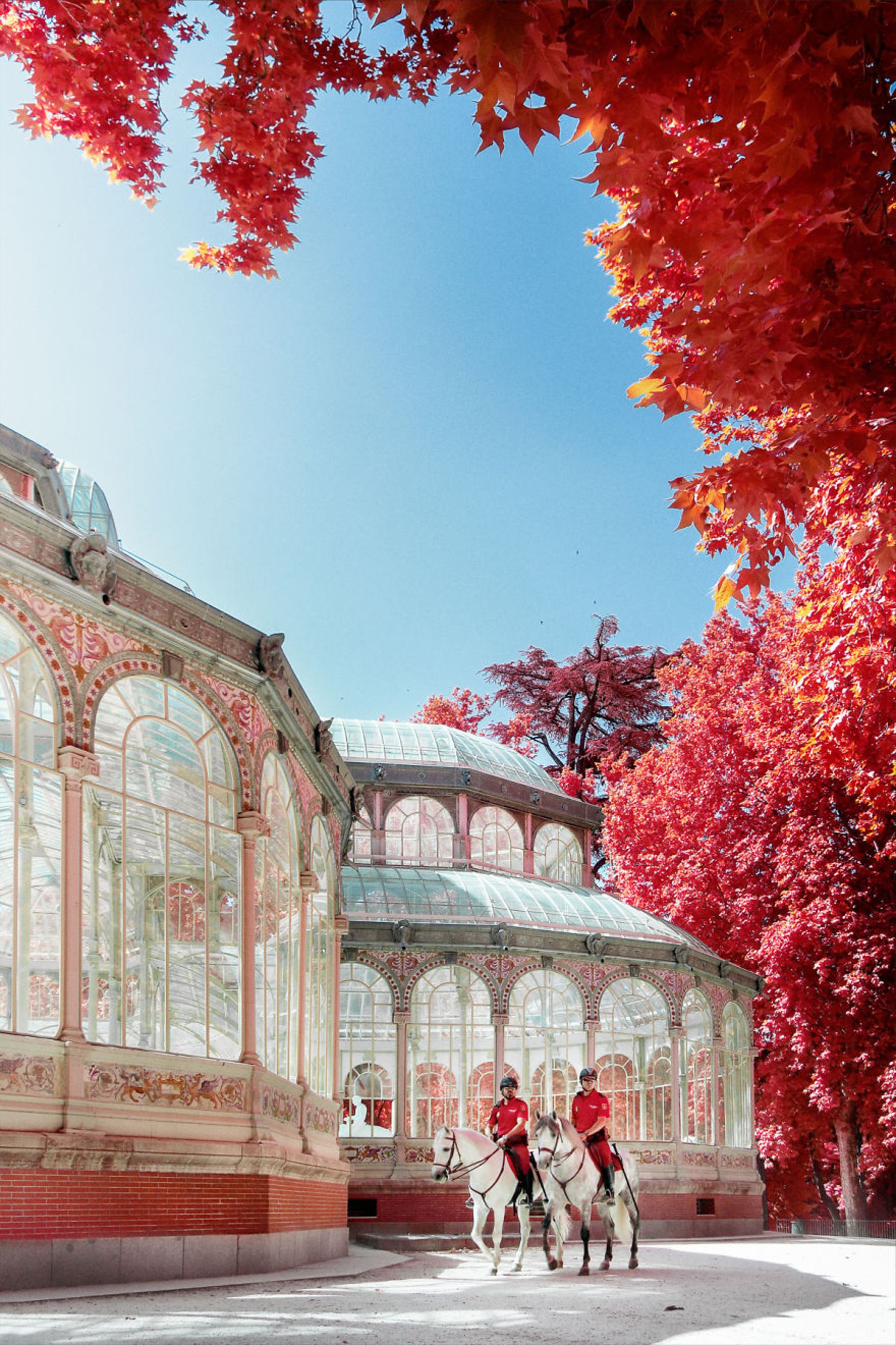 عکاسی مادون قرمز از مادرید