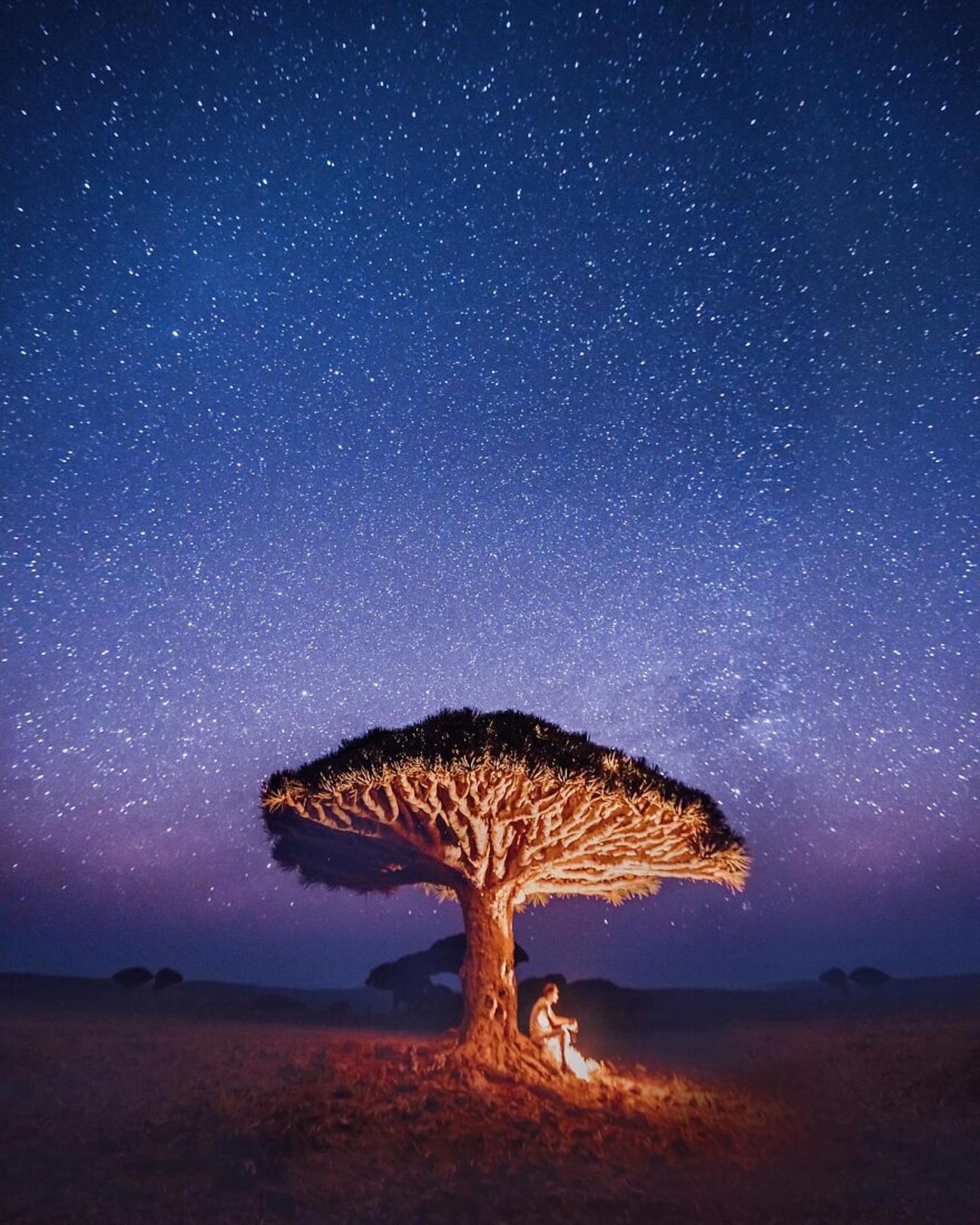 جزایر سُقُطرا در یمن