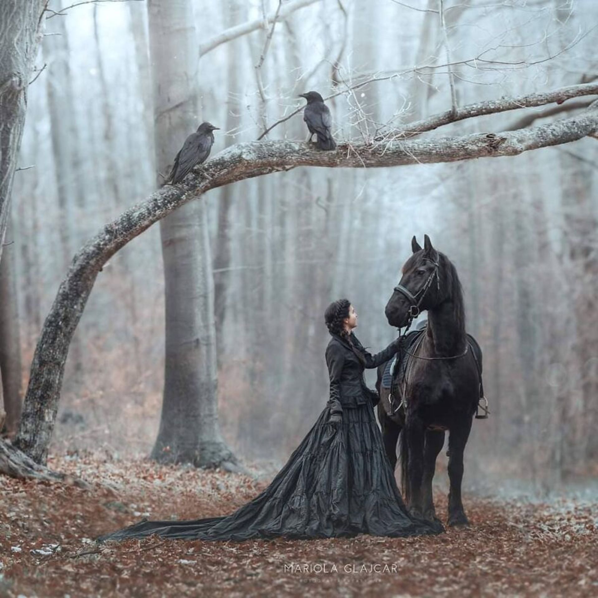 شباهت ظریف بین انسان‌ها و حیوان‌ها