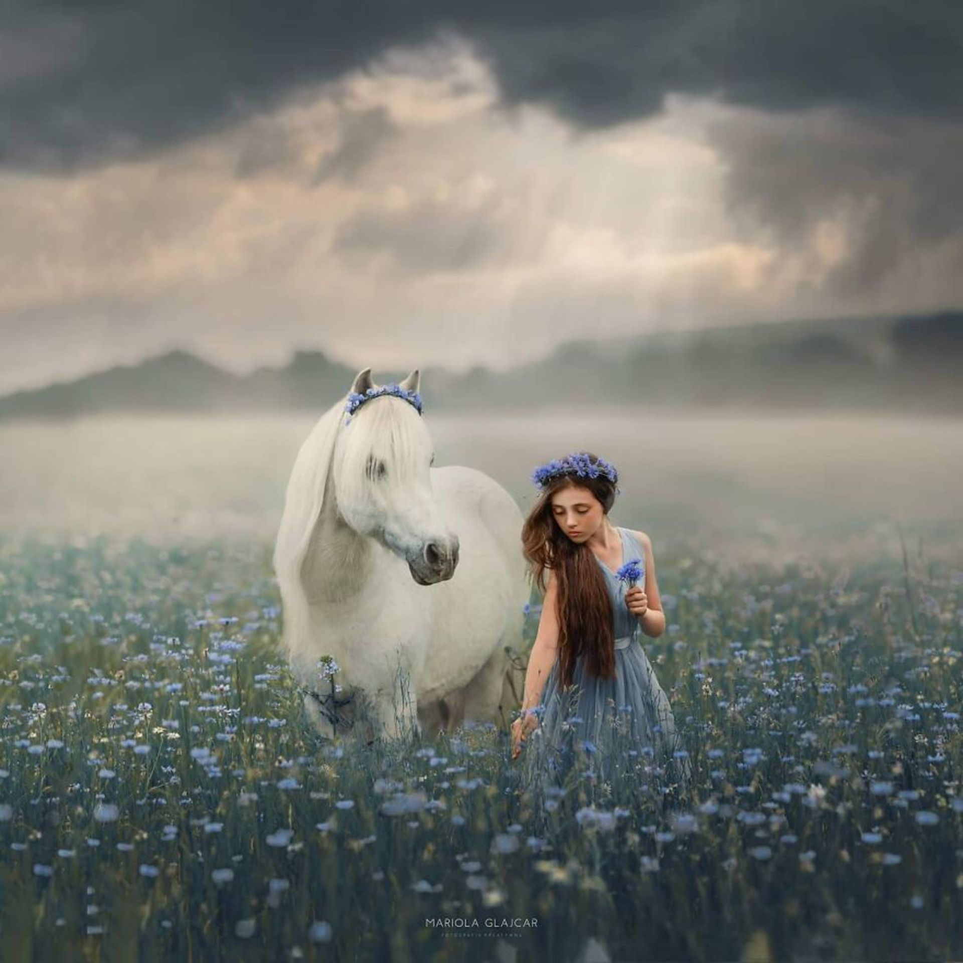 شباهت ظریف بین انسان‌ها و حیوان‌ها