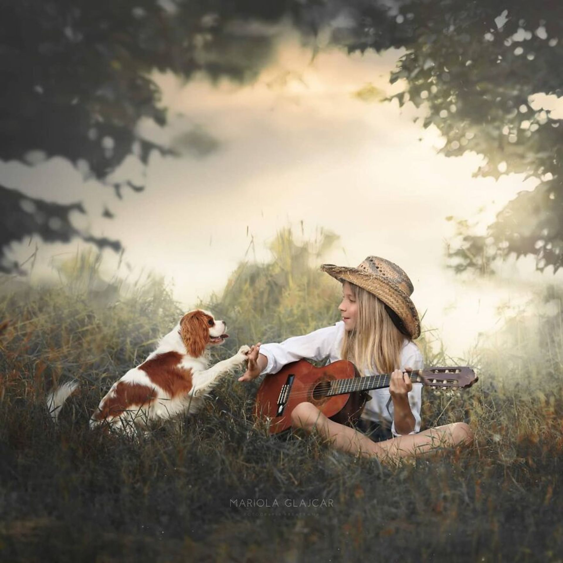 شباهت ظریف بین انسان‌ها و حیوان‌ها