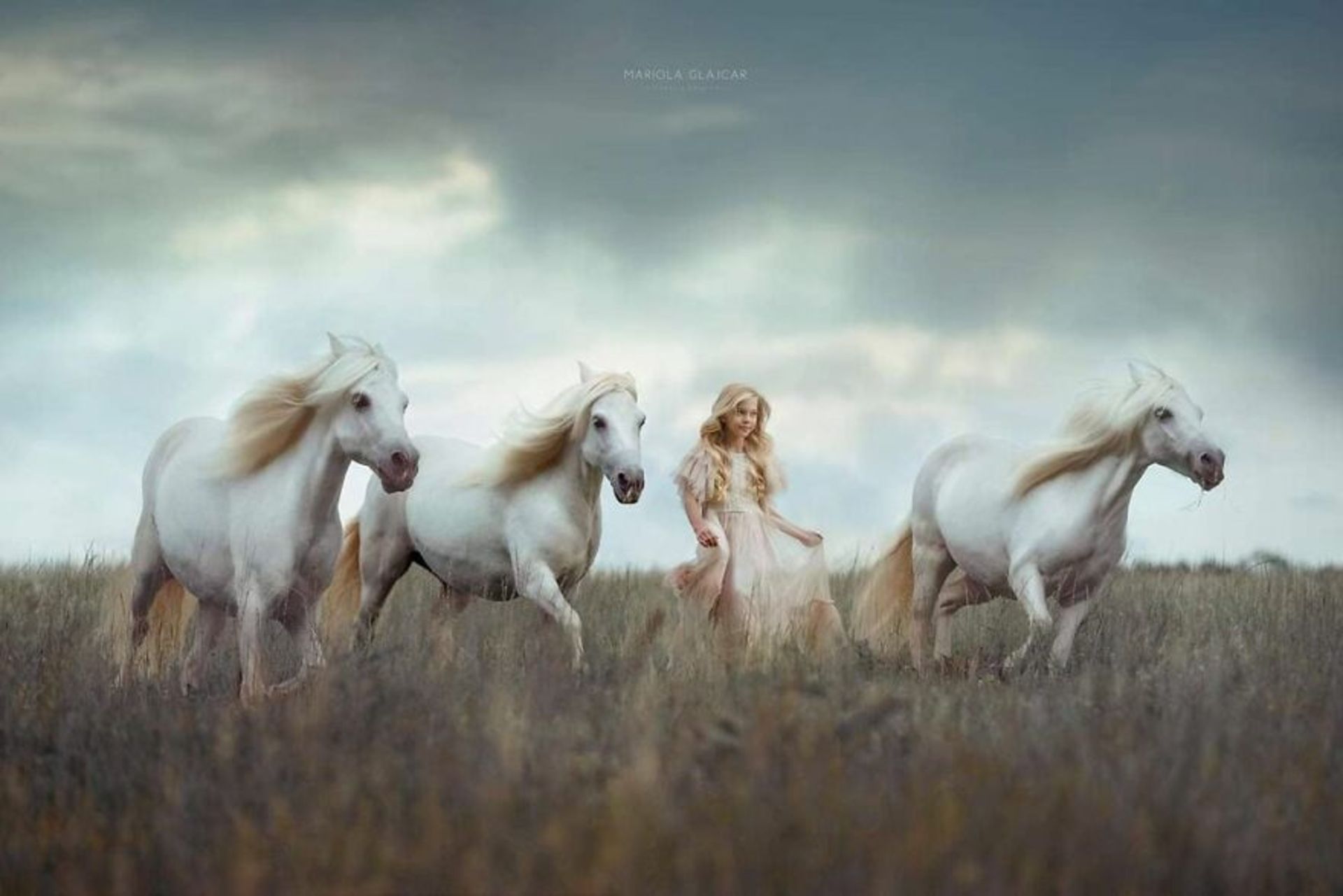 شباهت ظریف بین انسان‌ها و حیوان‌ها