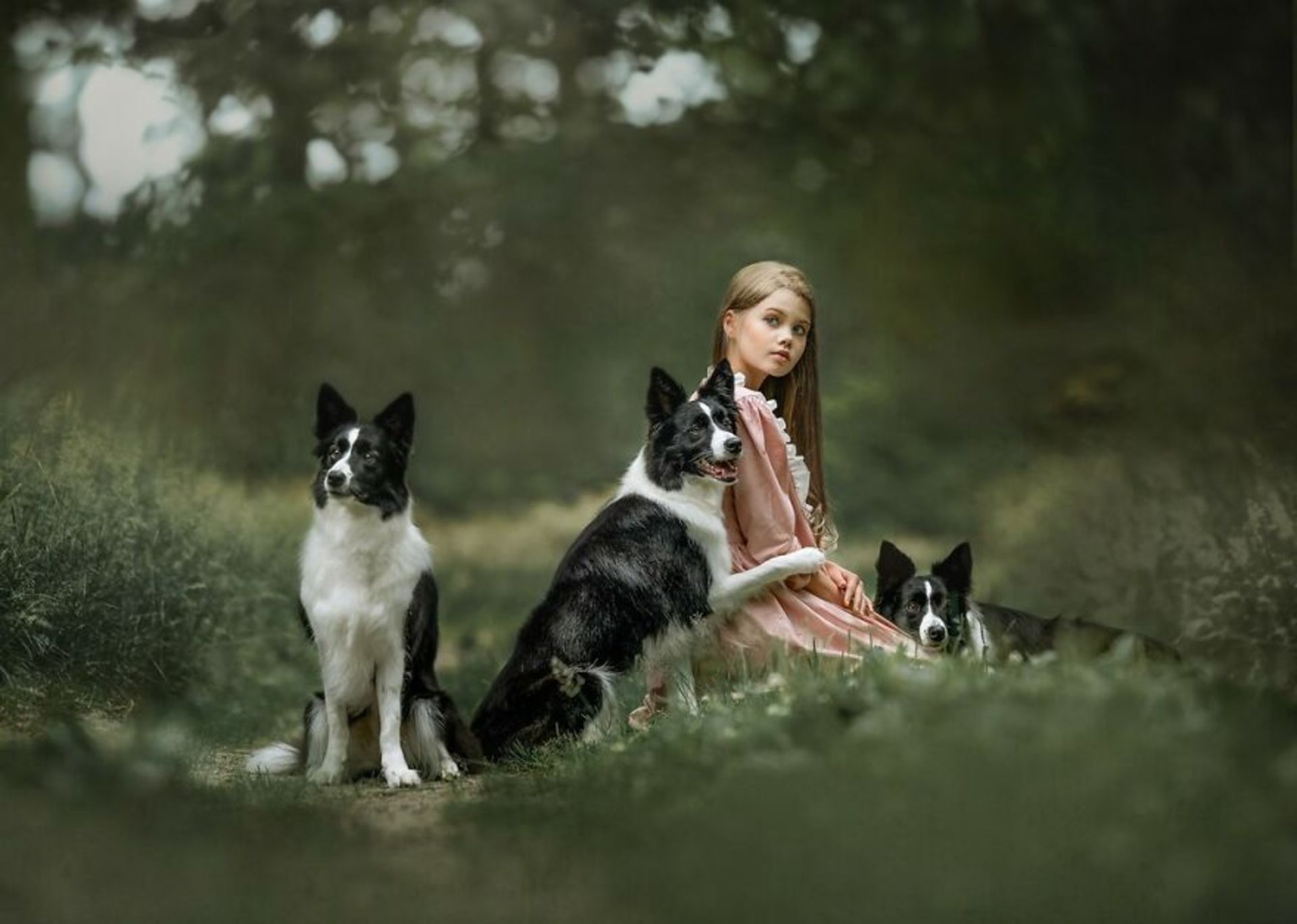 شباهت ظریف بین انسان‌ها و حیوان‌ها