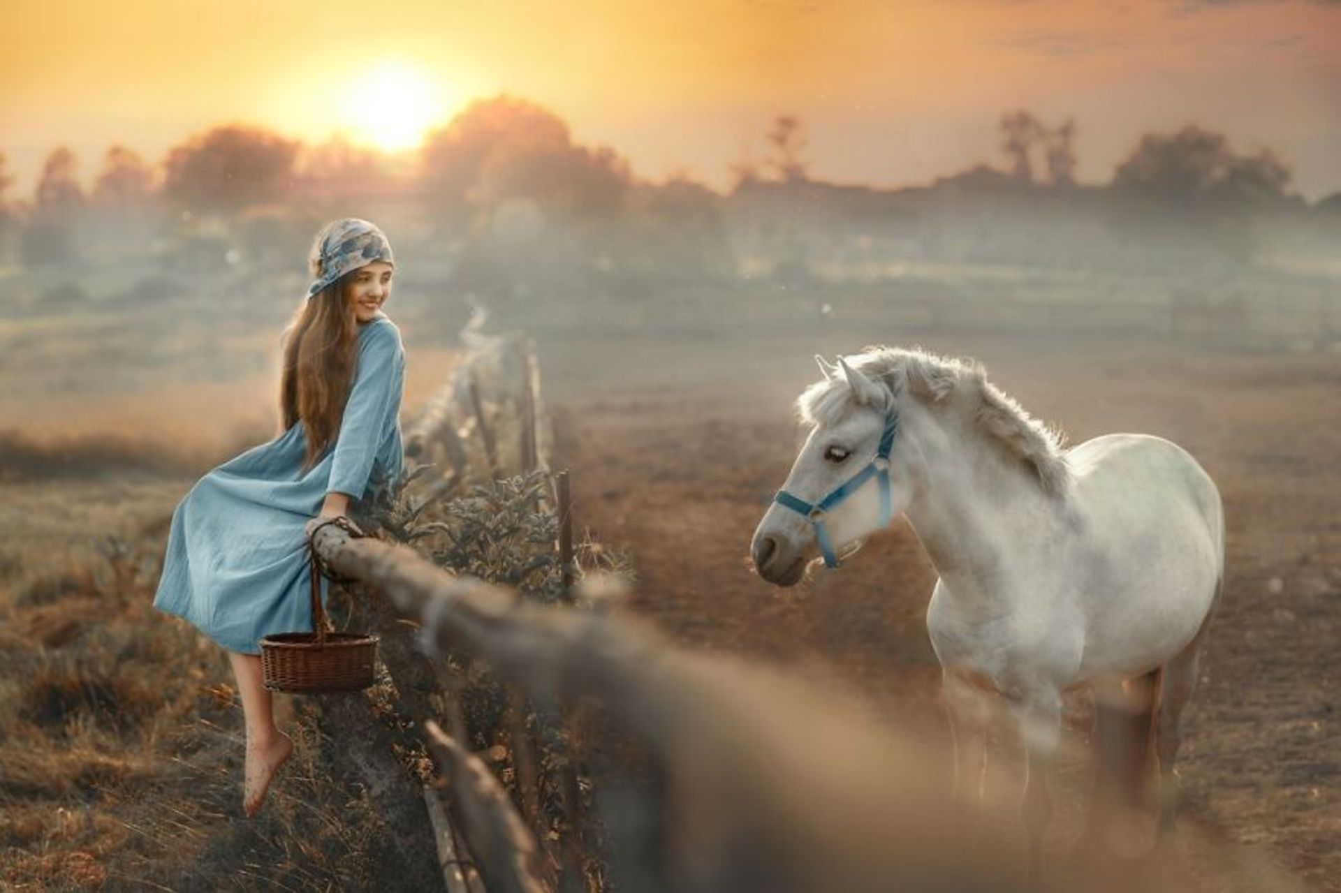 شباهت ظریف بین انسان‌ها و حیوان‌ها