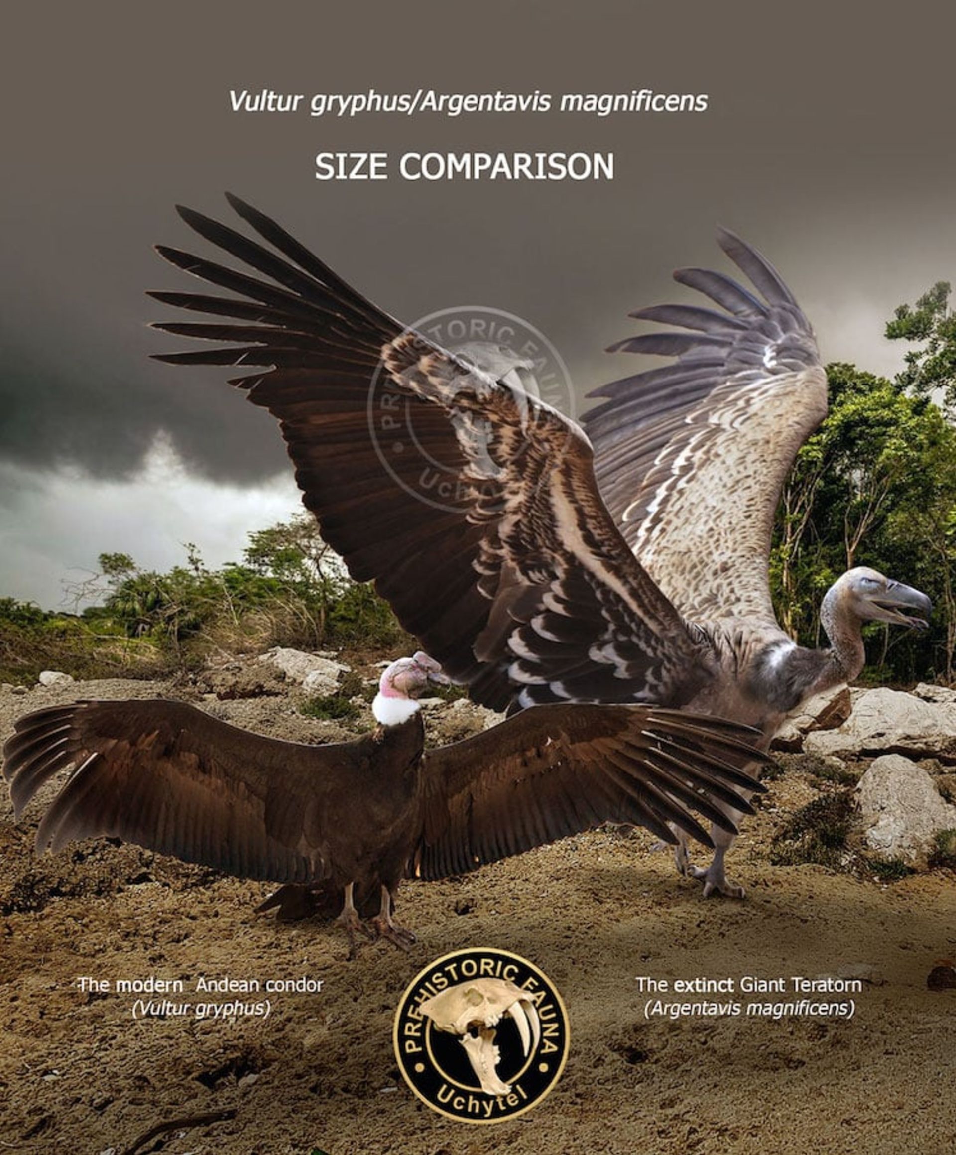 تفاوت اندازه بین حیوانات ماقبل تاریخ و نوادگان مدرن آن‌ها