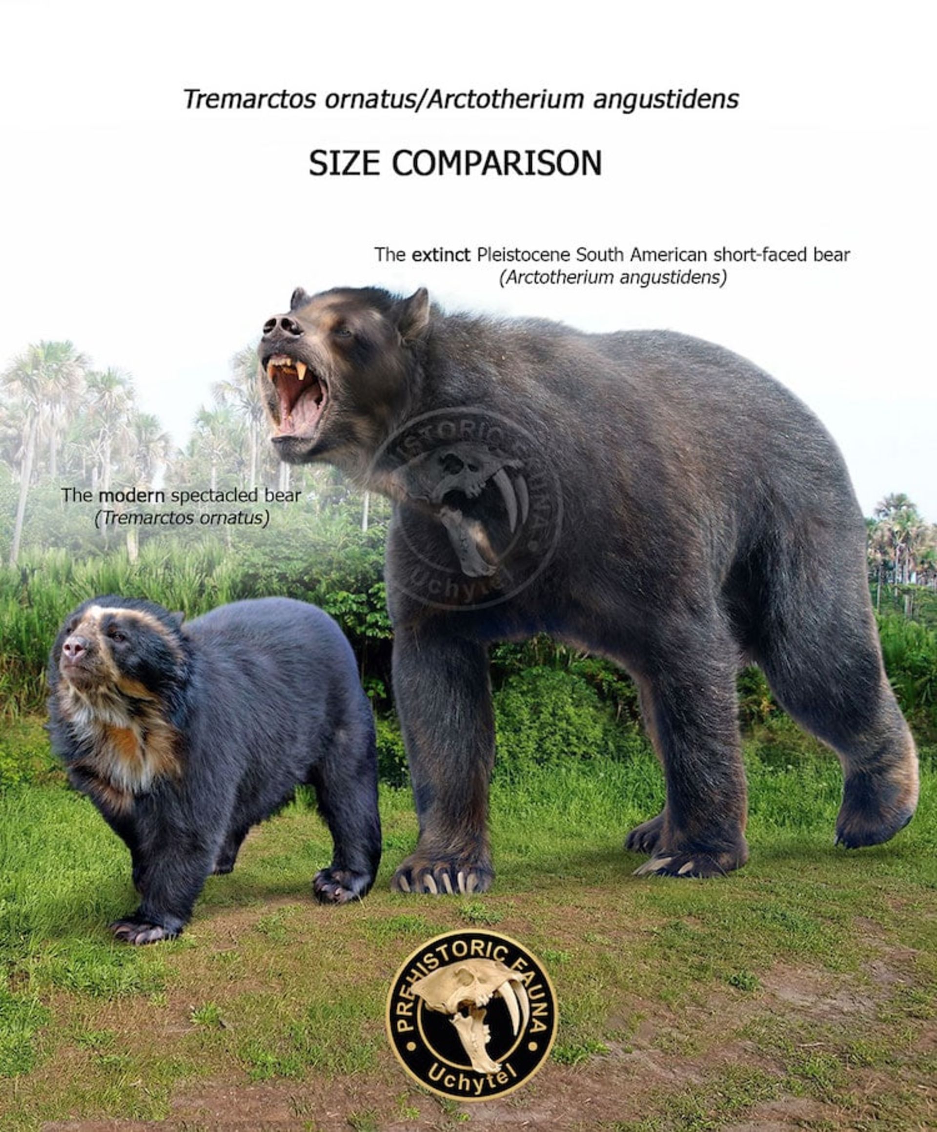تفاوت اندازه بین حیوانات ماقبل تاریخ و نوادگان مدرن آن‌ها