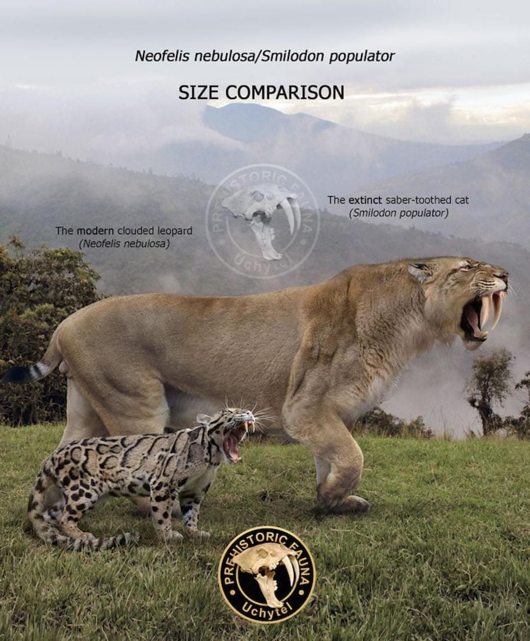 تفاوت اندازه بین حیوانات ماقبل تاریخ و نوادگان مدرن آن‌ها