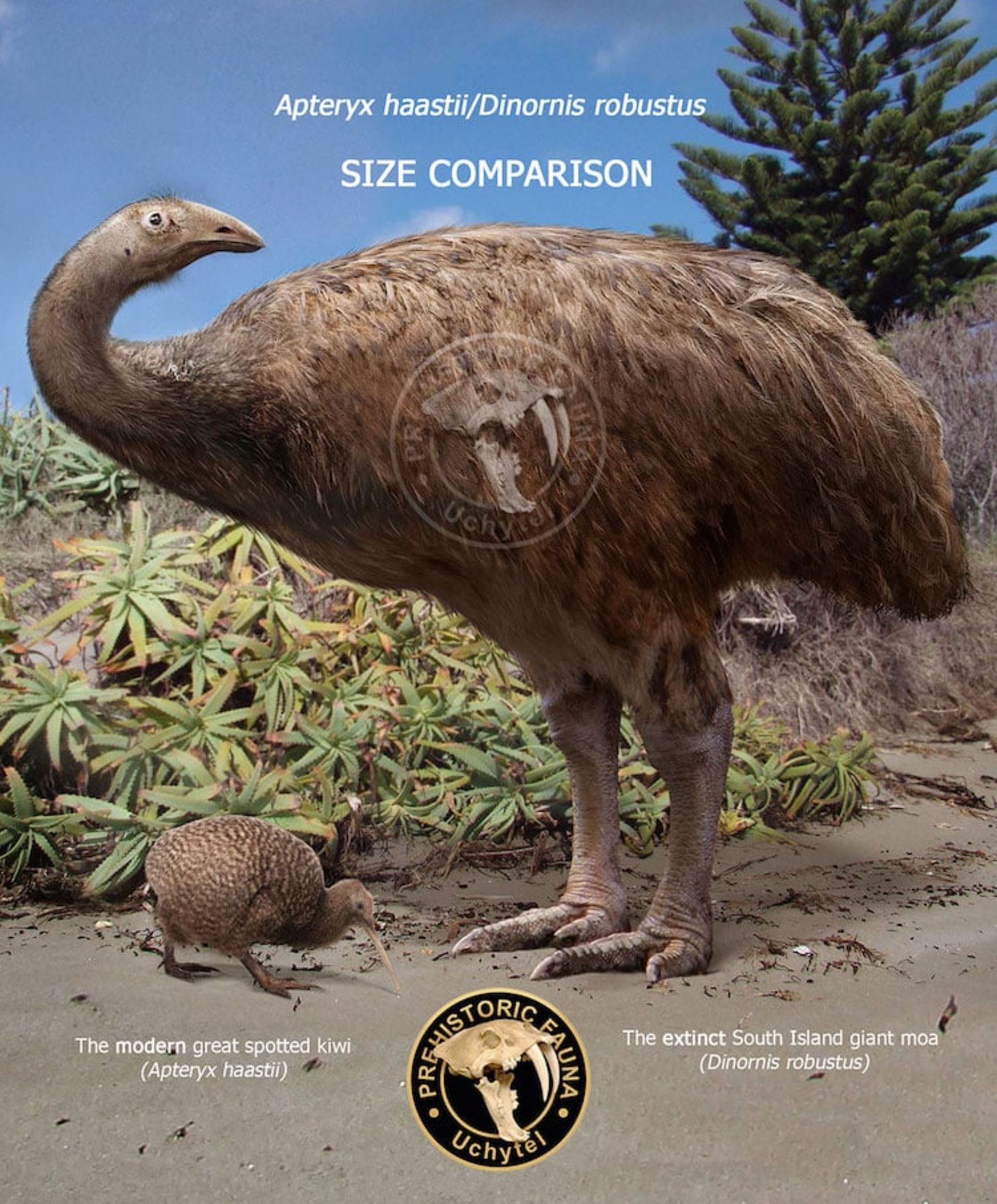 تفاوت اندازه بین حیوانات ماقبل تاریخ و نوادگان مدرن آن‌ها