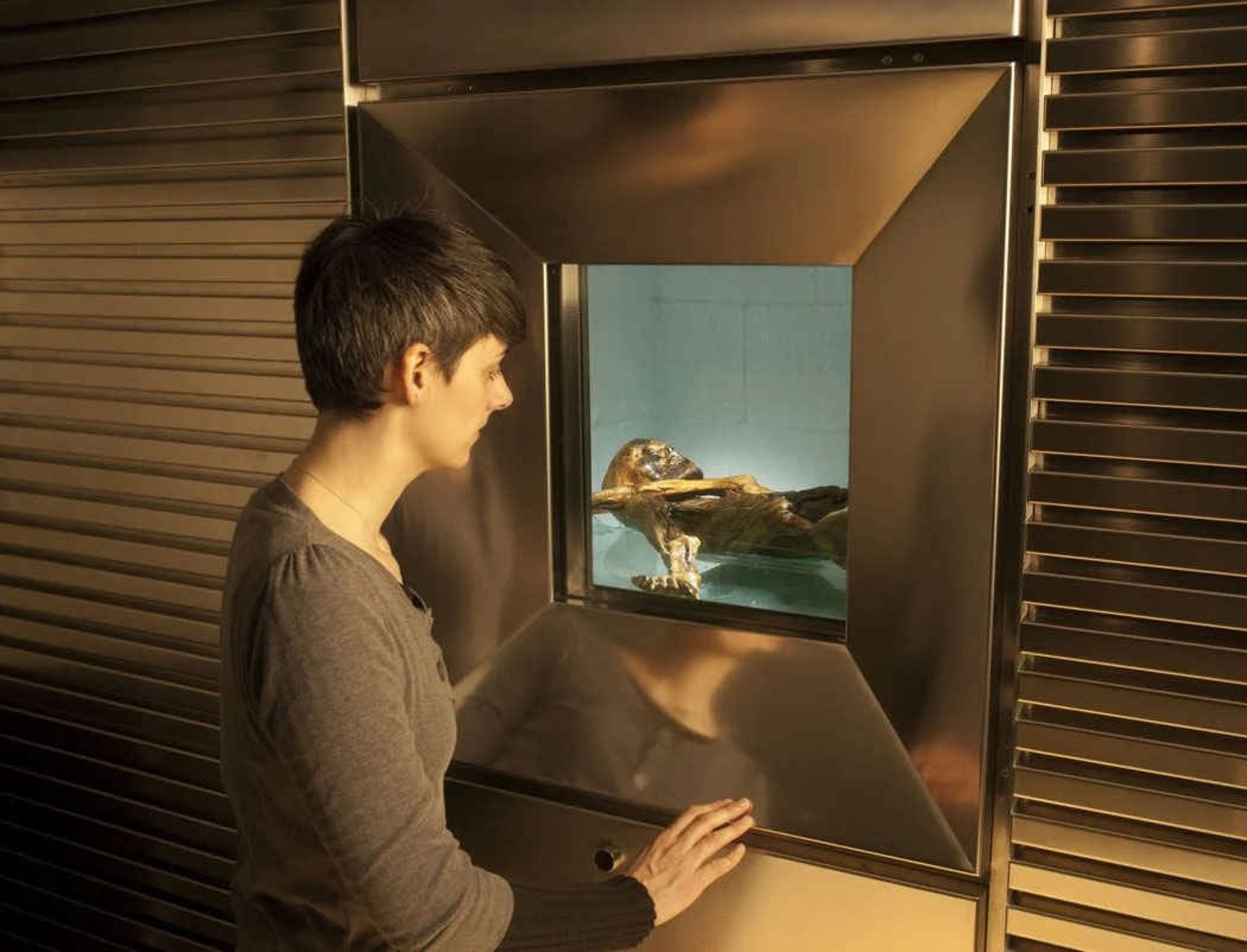 اوتسی در موزه باستان شناسی تیرول جنوبی