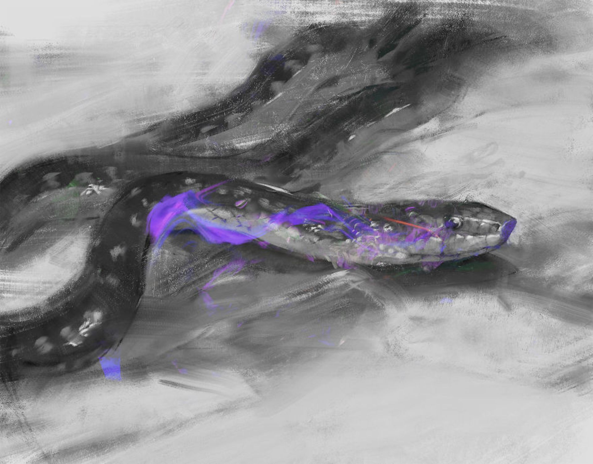 نقاشی از حیوان‌های در خطر انقراض