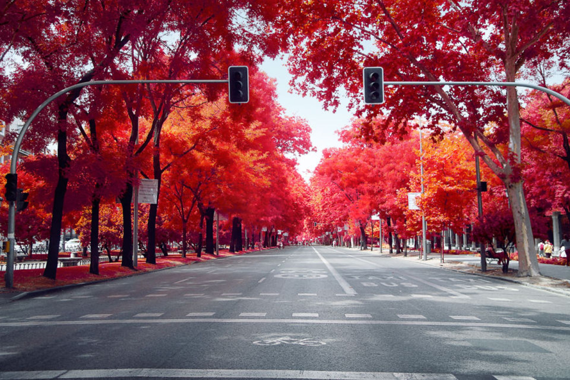 عکاسی مادون قرمز از مادرید