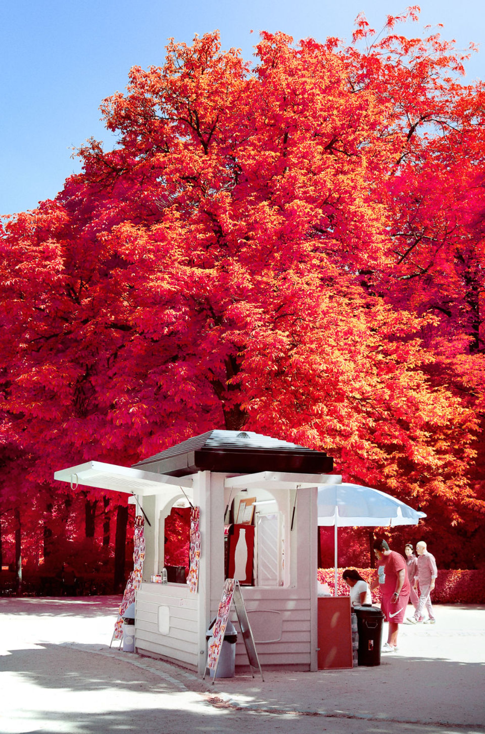 عکاسی مادون قرمز از مادرید