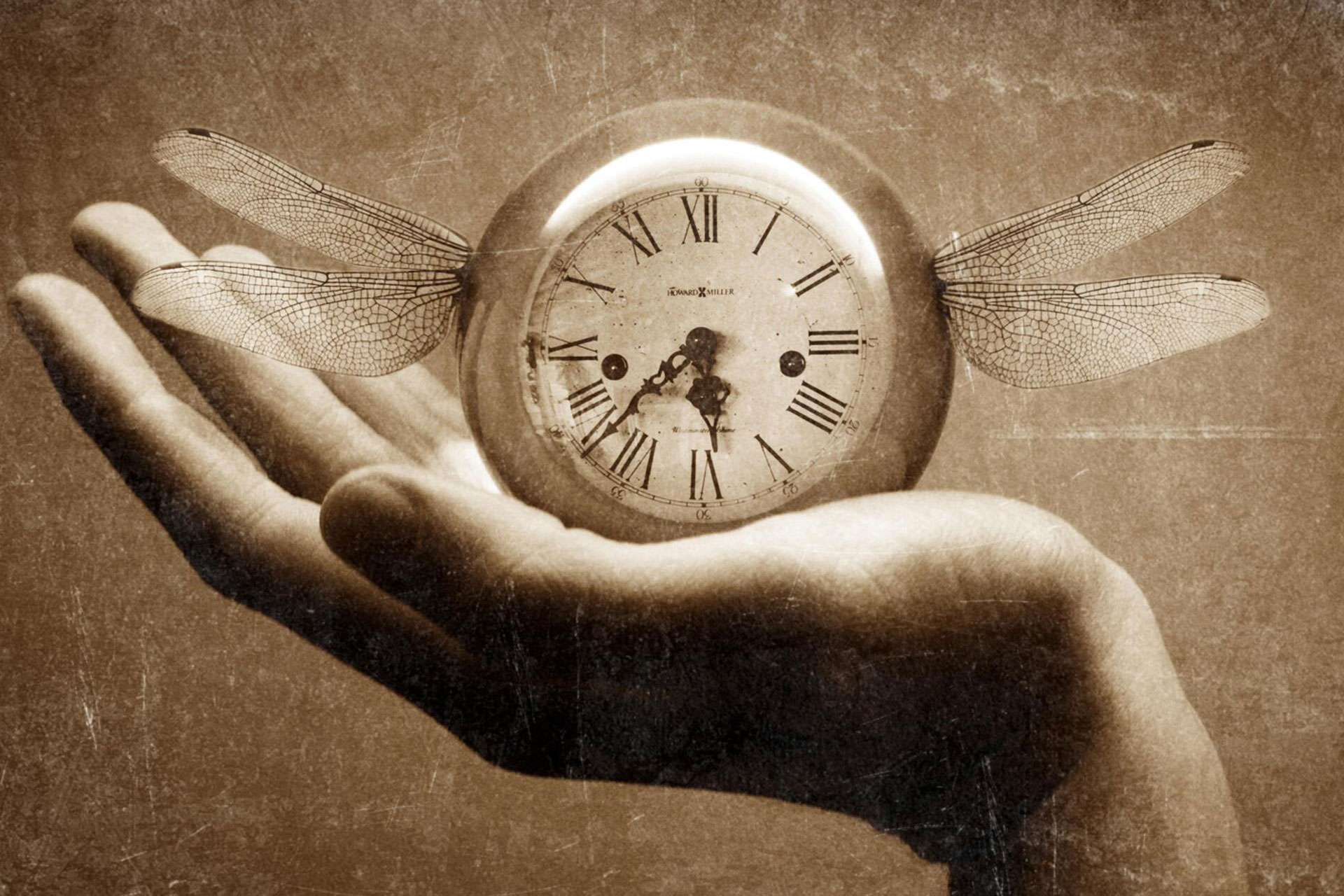 چرا زمان به جلو می‌رود نه به عقب؟