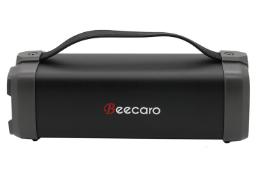 توان اسپیکر بیکارو Beecaro F52