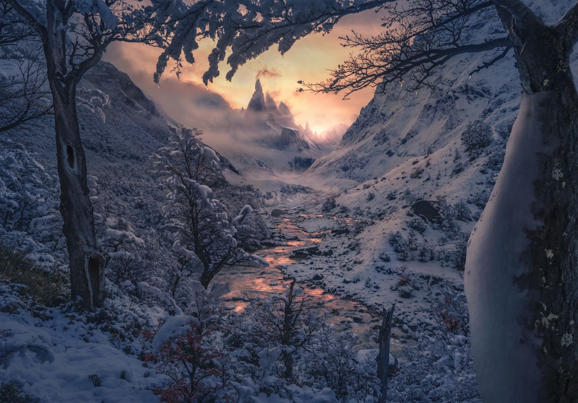 برندگان مسابقه عکاسی منظره ۲۰۲۲