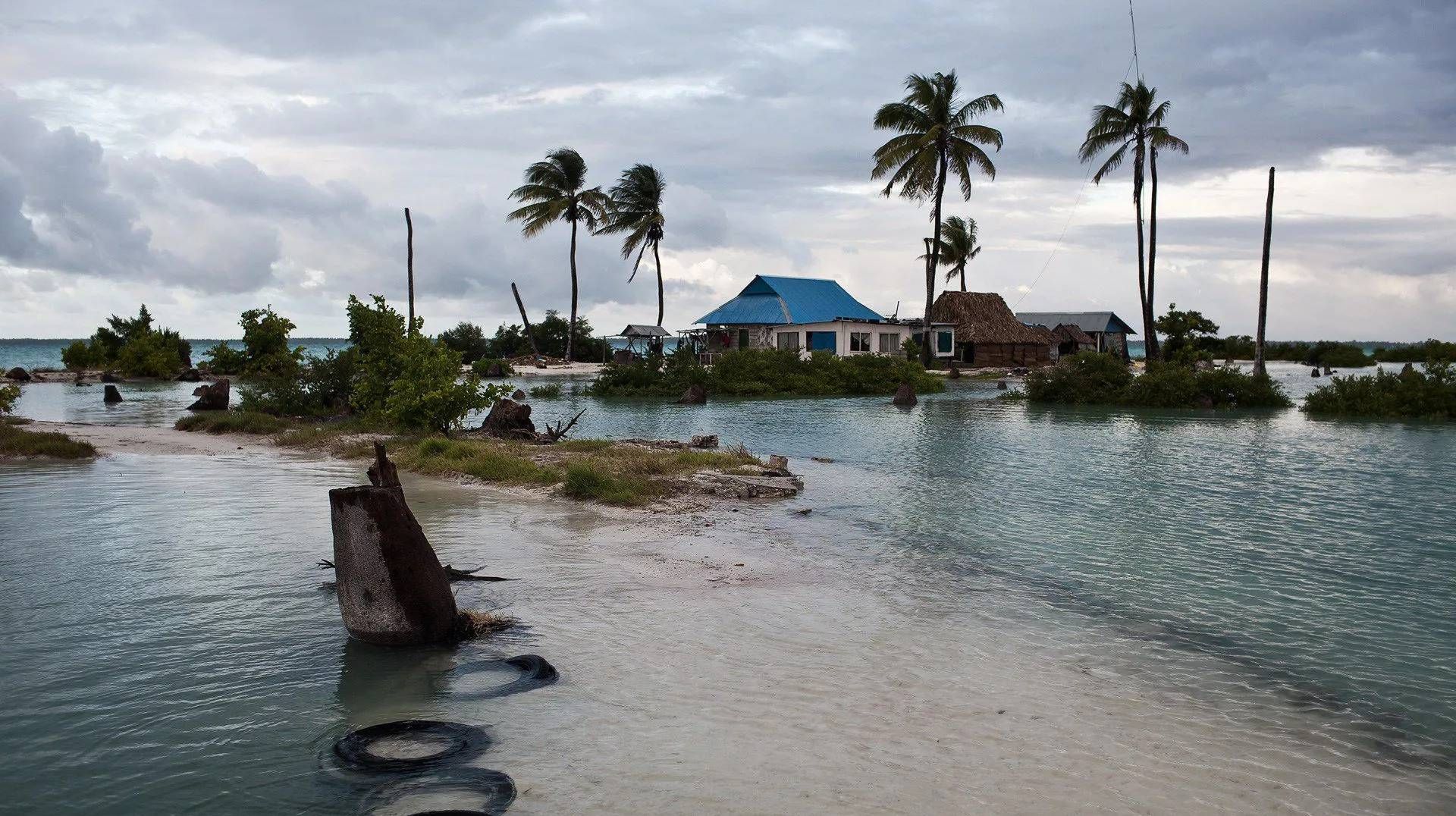 سیل در کیریباتی / Kiribati