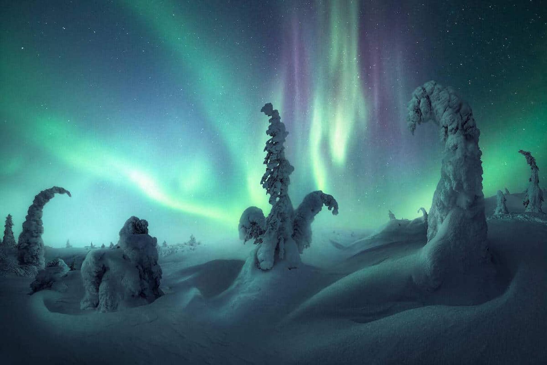 شفق قطبی-جوایز عکاسی سالانه Northern Lights