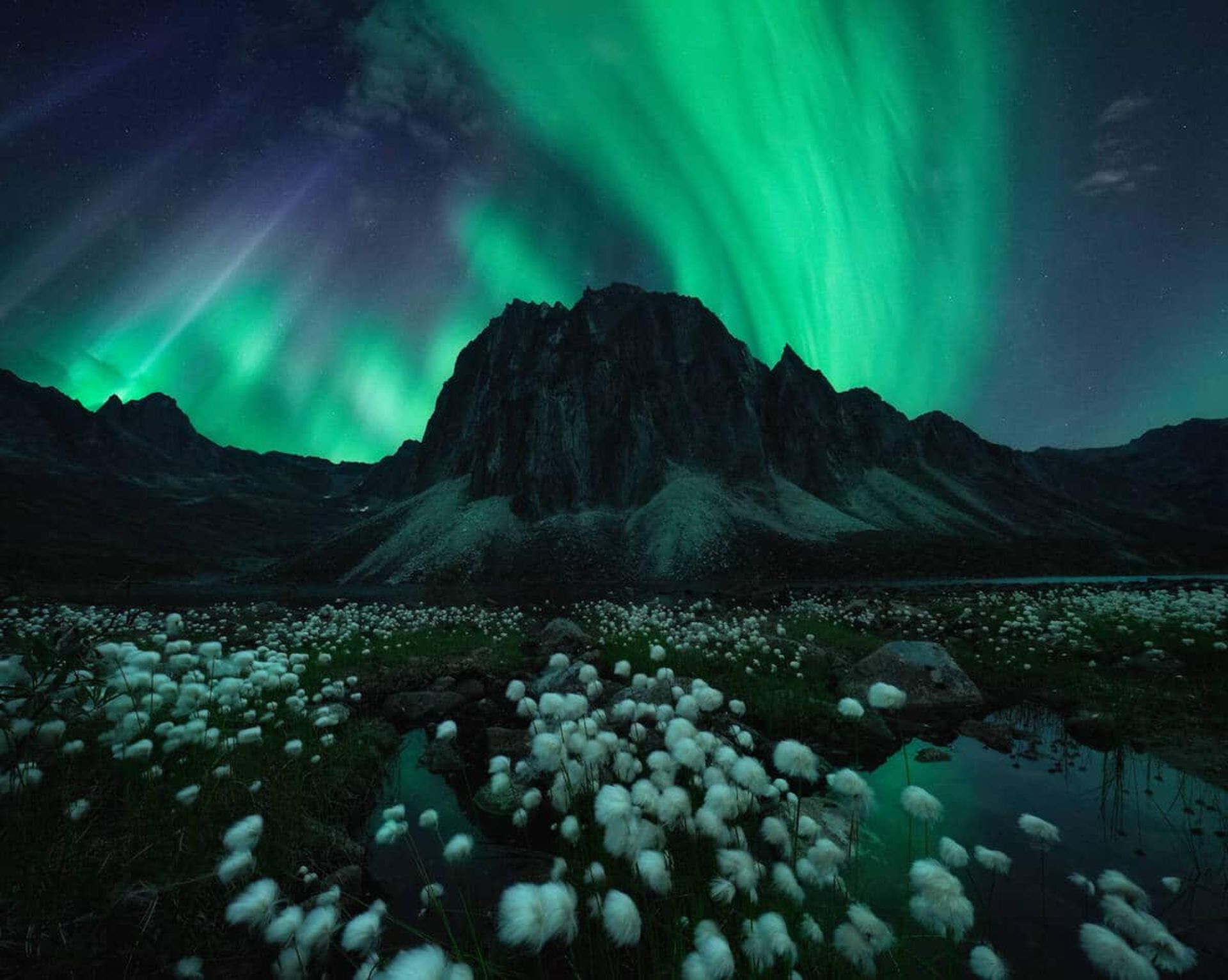 شفق قطبی-جوایز عکاسی سالانه Northern Lights