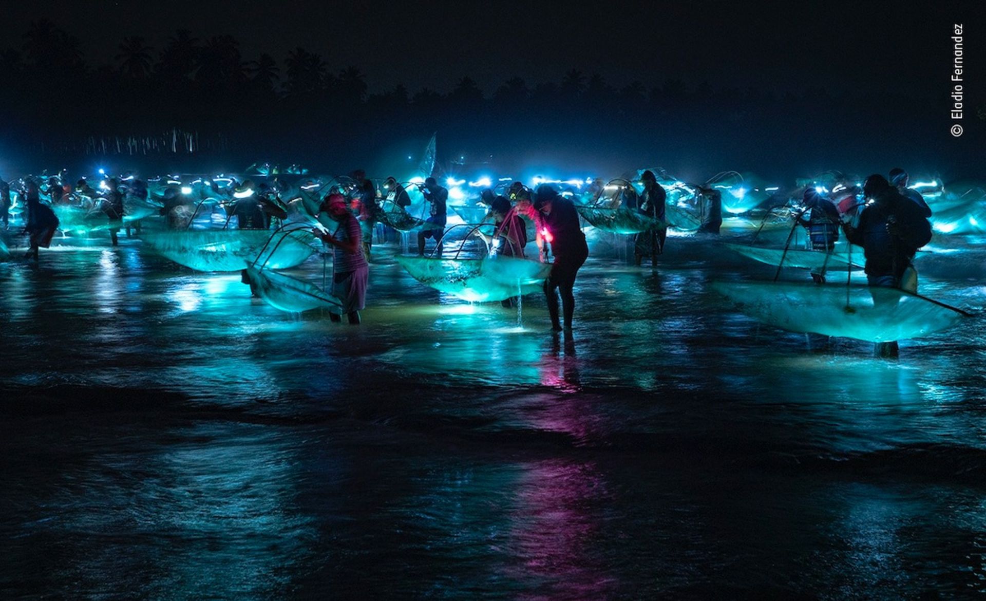 فینالیست‌های برگزیده مردمی مسابقه عکاس حیات وحش ۲۰۲۲