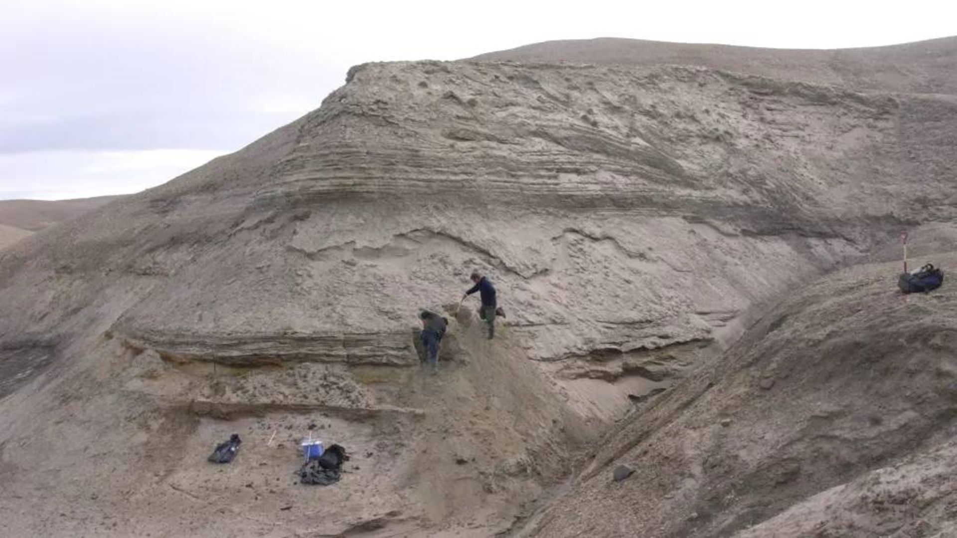 پژوهشگران / Researchers