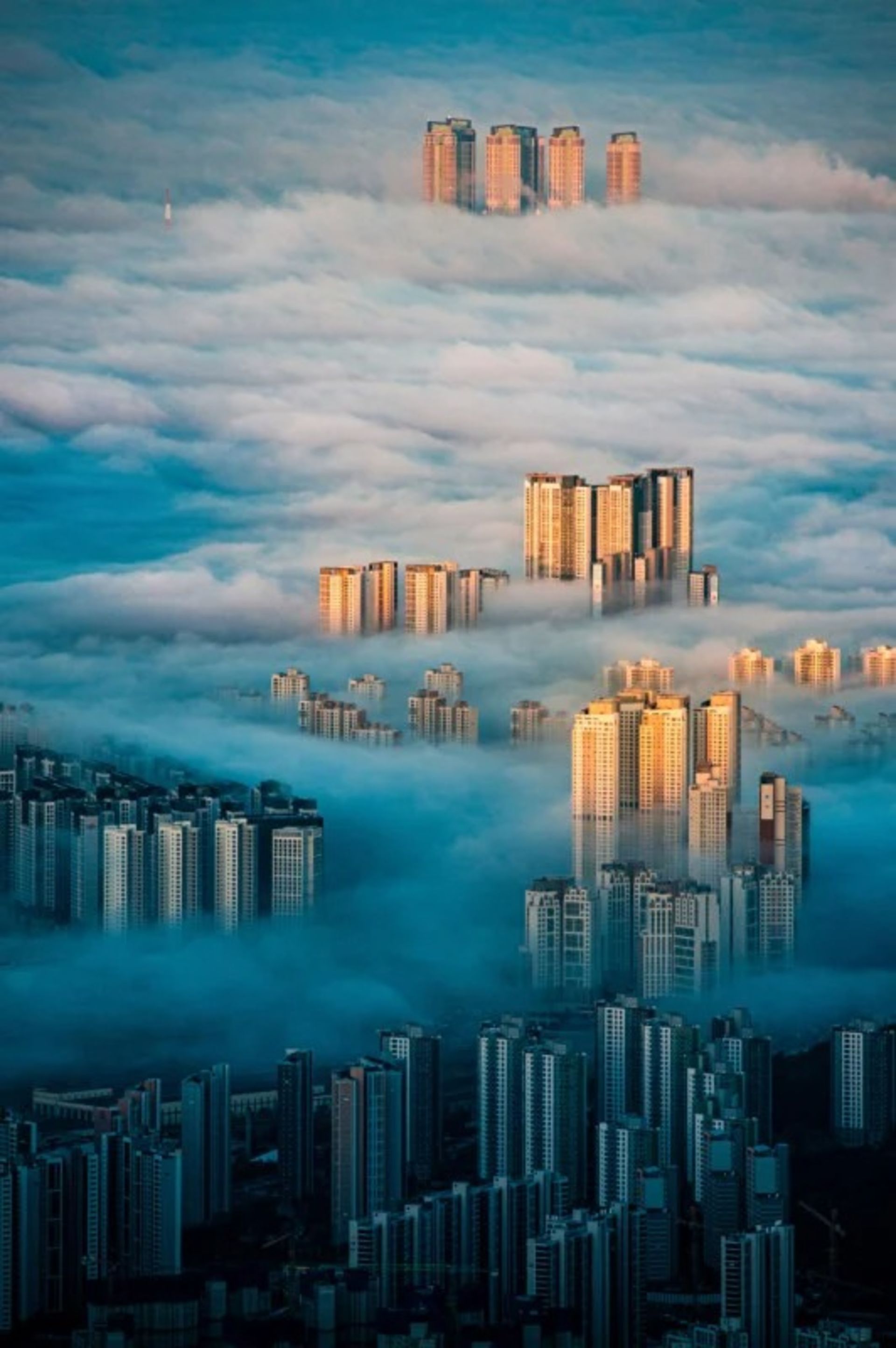 رندگان جوایز ملی عکاسی جهانی سونی ۲۰۲۲