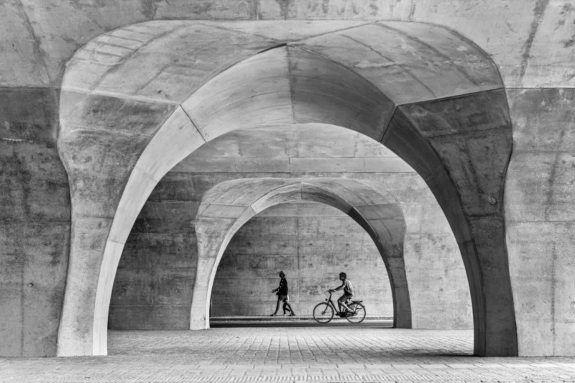 رندگان جوایز ملی عکاسی جهانی سونی ۲۰۲۲