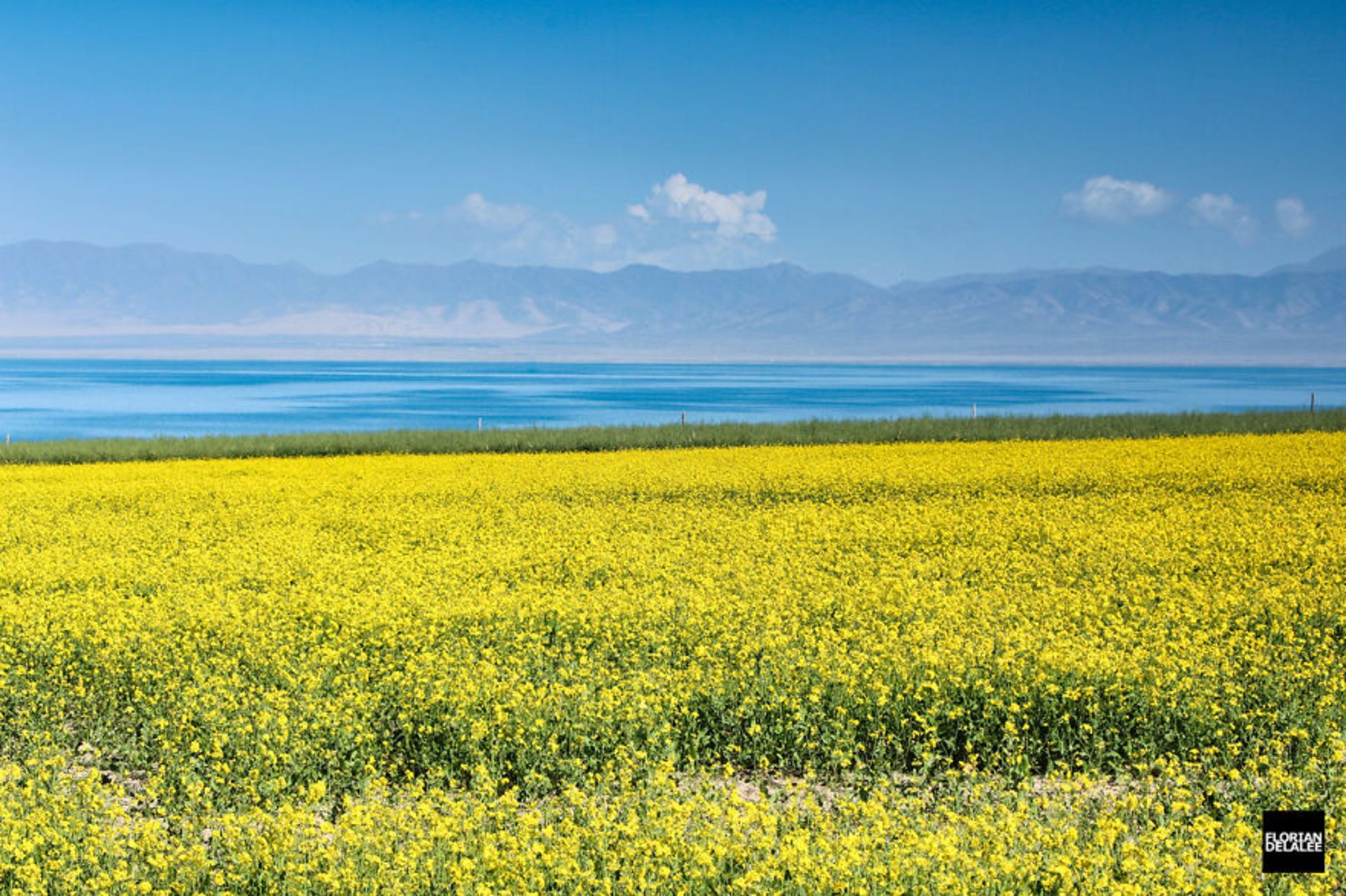 بر فراز مناظر زیبای چین