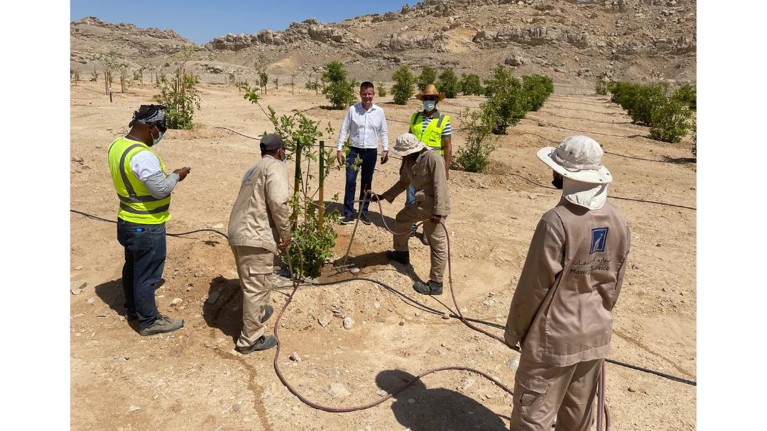 بهسازی زمین در دبی 