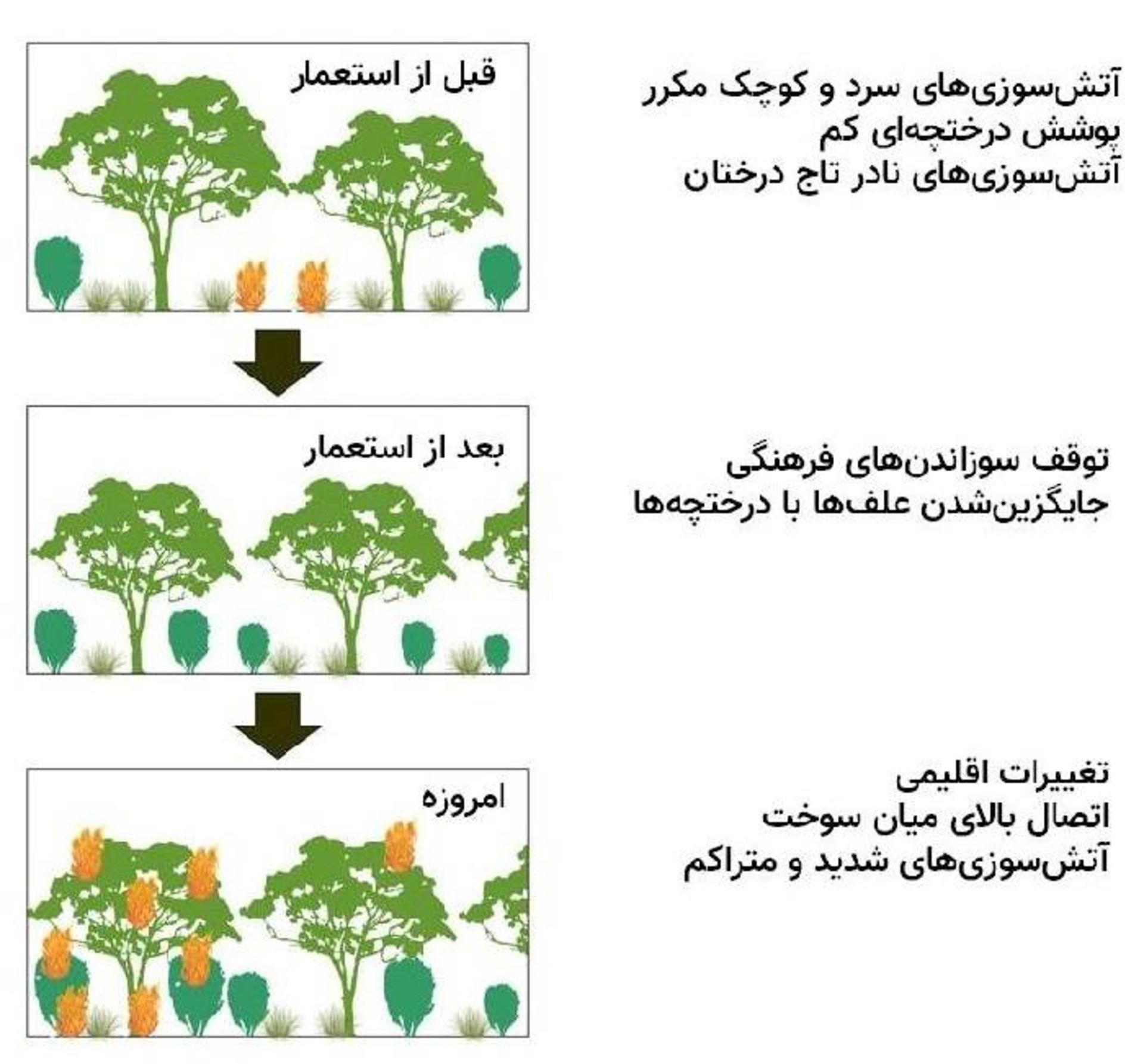 تغییر پوشش گیاهی قبل و پس از استعمار بریتانیا در استرالیا / southeastern Australian forests