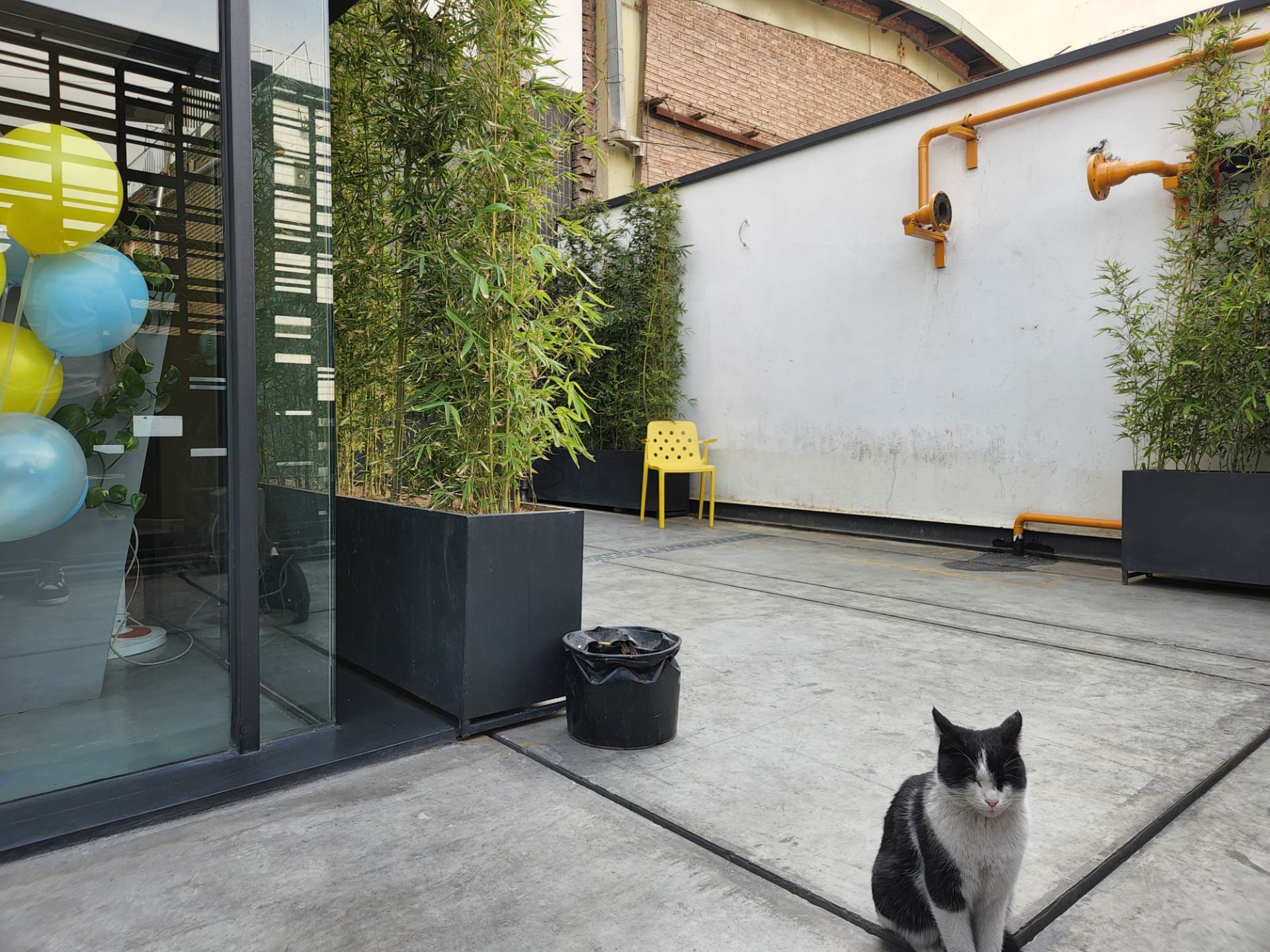 عکس دوربین اصلی